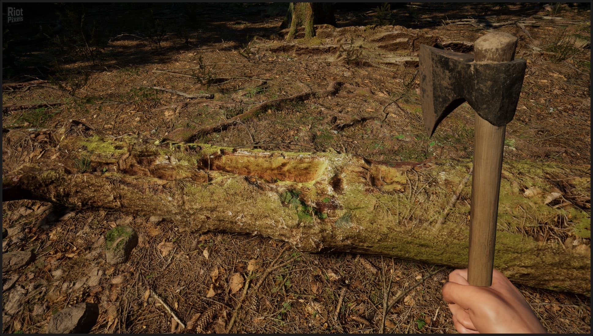 Evergreen: Mountain Life Simulator – v1.0.0 (Release) + Windows 7 Fix screenshot 5