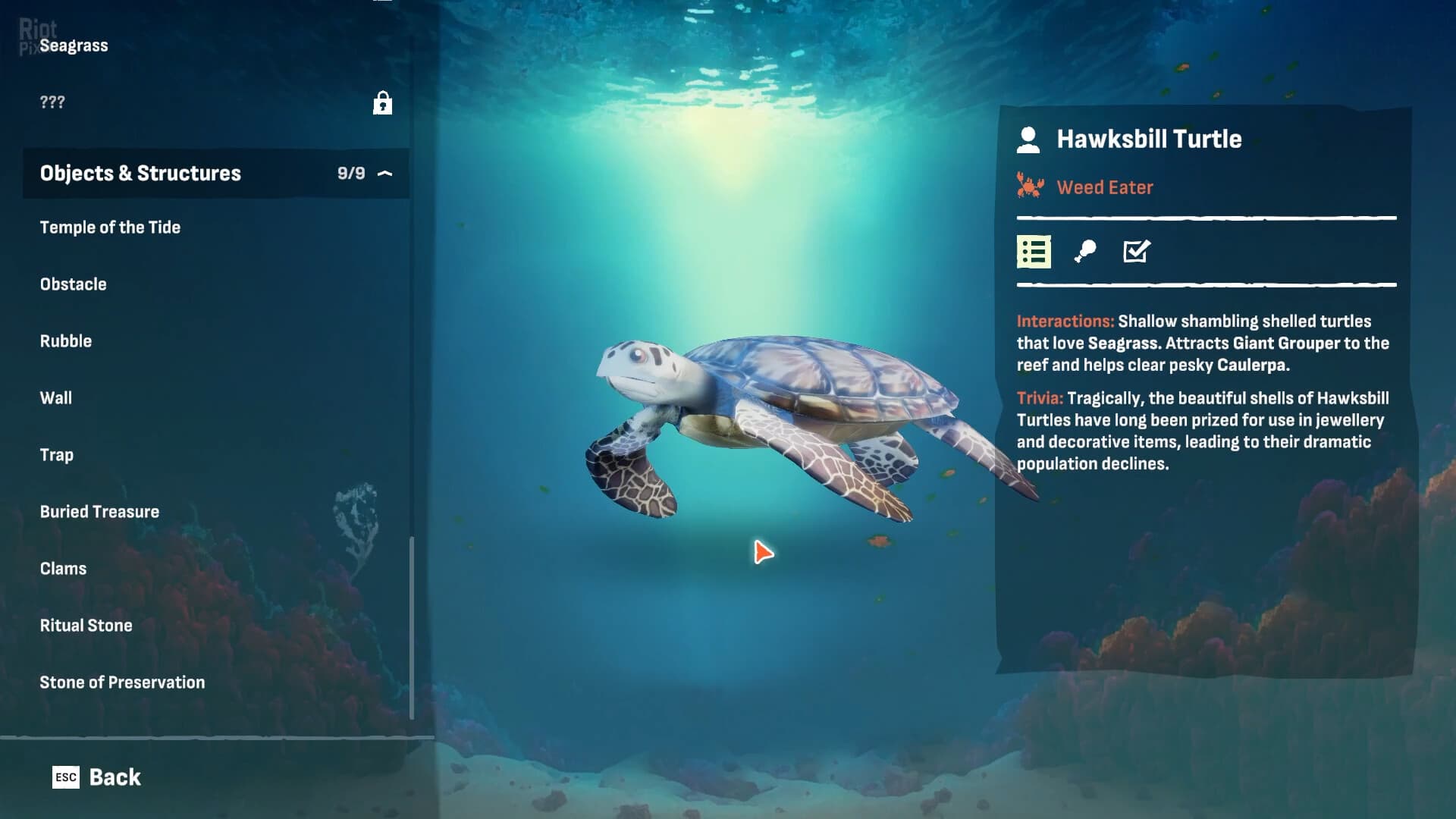 Crab God: Supporter Edition, v1.0.24 + Bonus Content screenshot 4