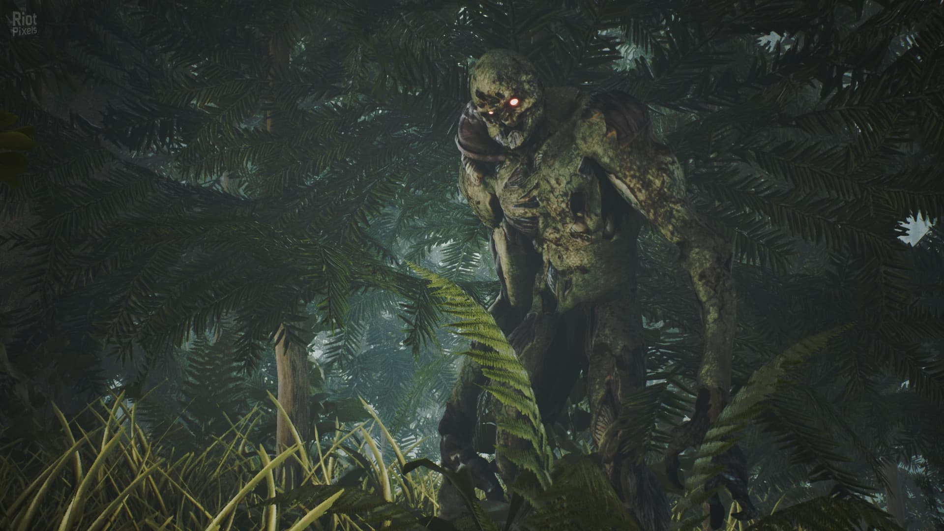 Raw Footage screenshot 1
