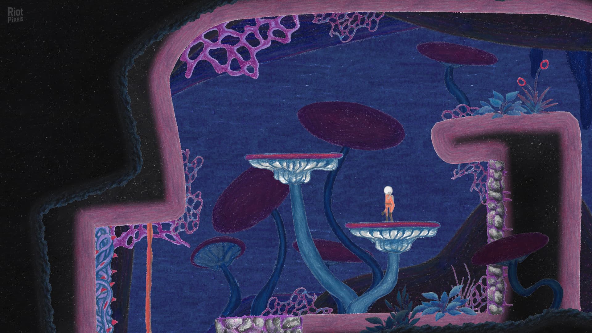 The Multi-Medium screenshot 2