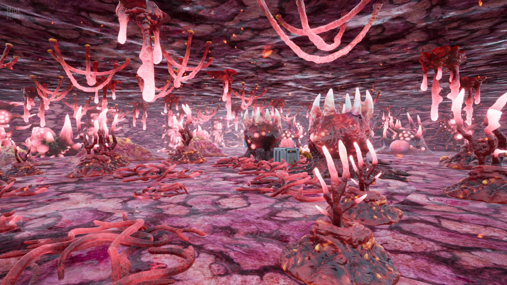 Surviving Ceres – v1.1b screenshot 1