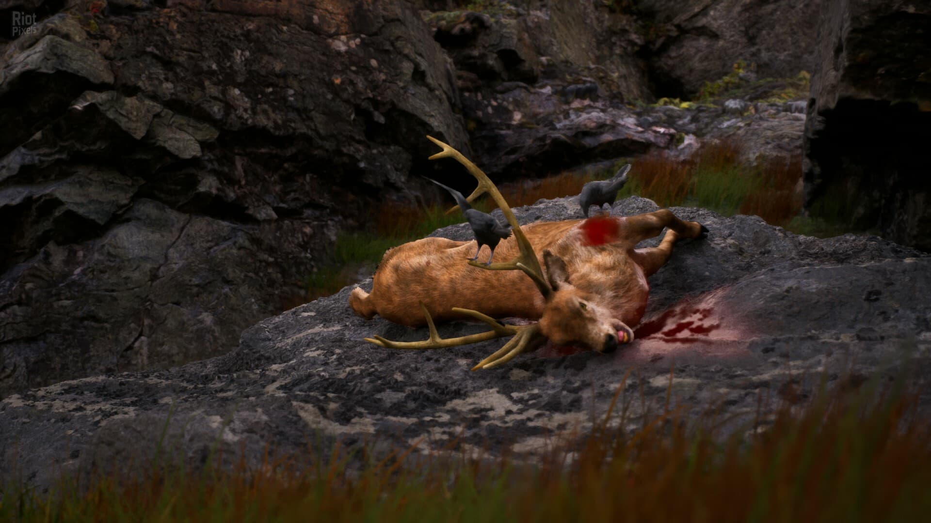 Once Alive – v0.9.9.8 screenshot 5