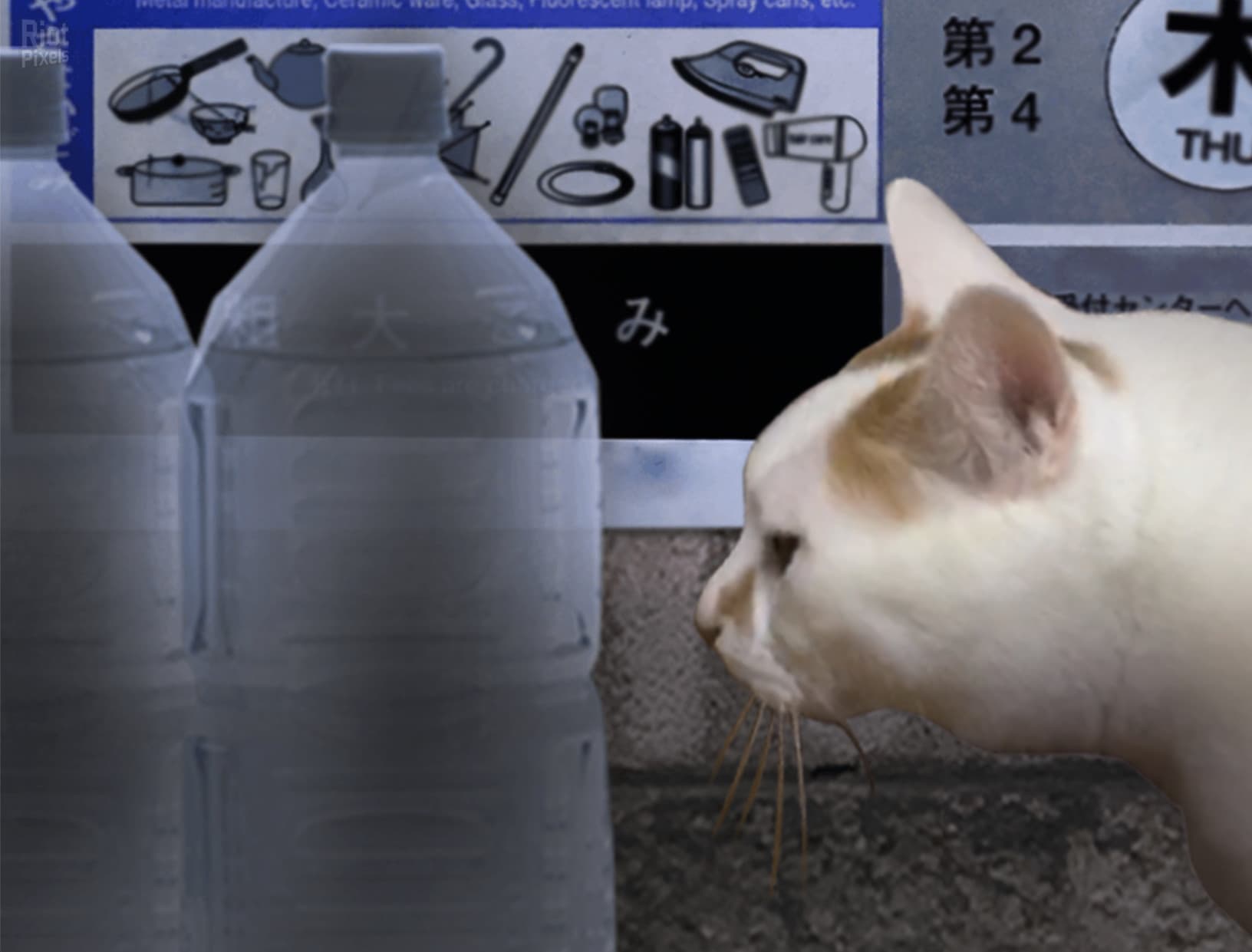 Tsugunohi – v20231019 + 2 DLCs screenshot 2