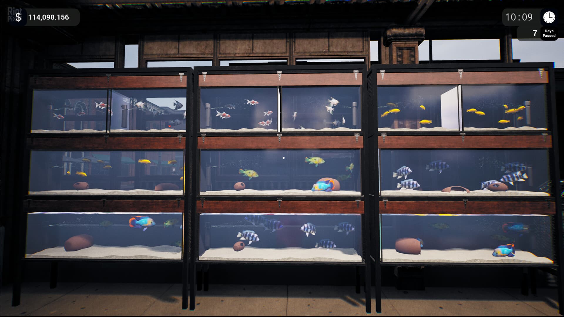 Exotica: Petshop Simulator – v1.0.6 screenshot 4
