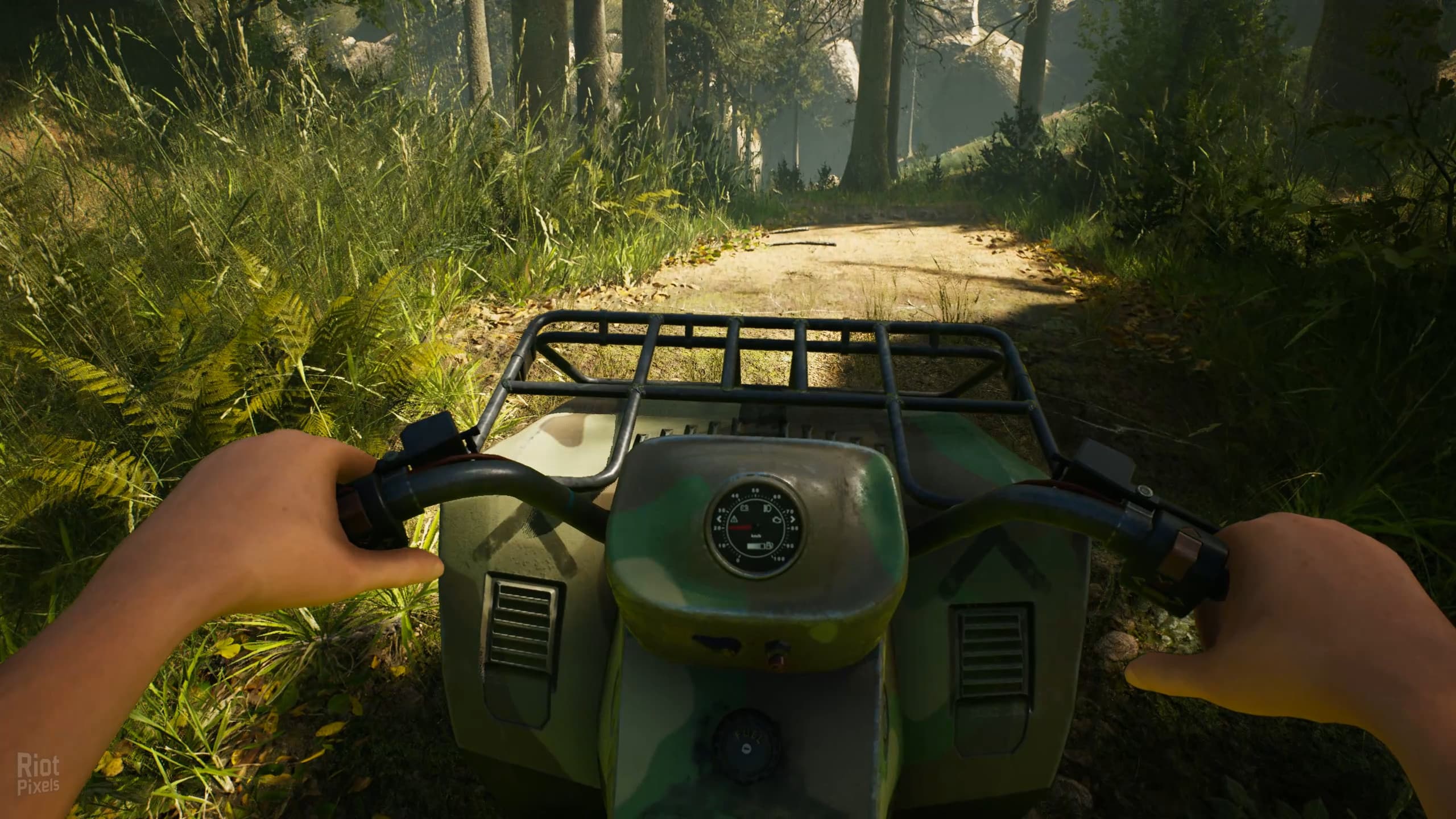 Morels: The Hunt screenshot 6
