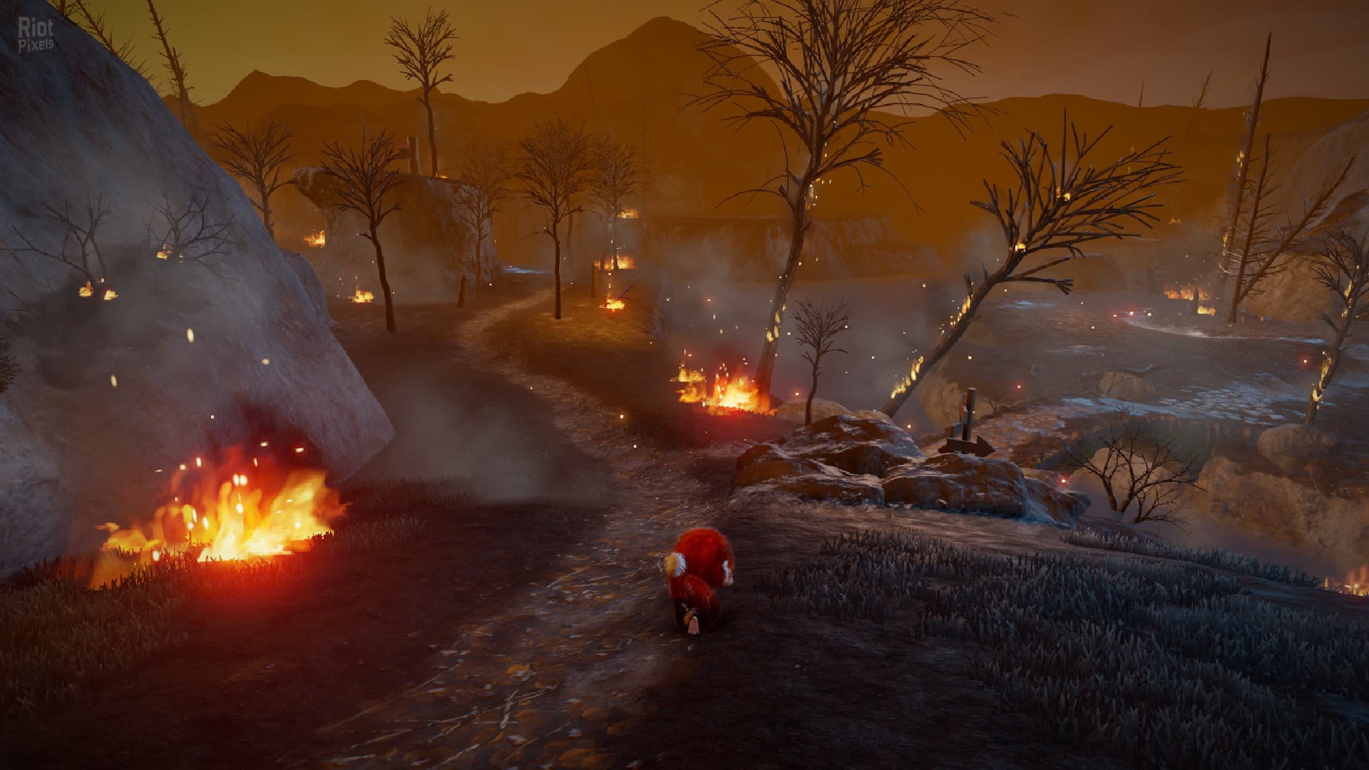 Tamarin screenshot 2