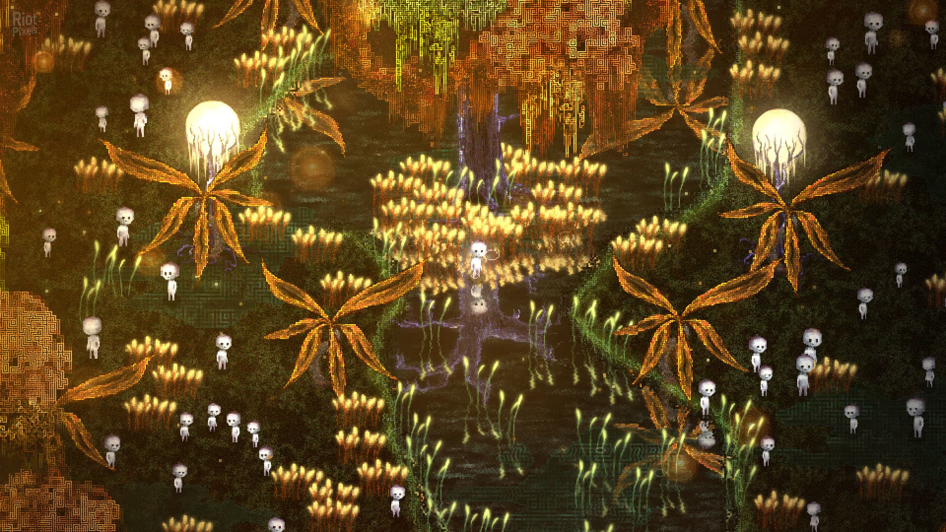 Dap screenshot 5