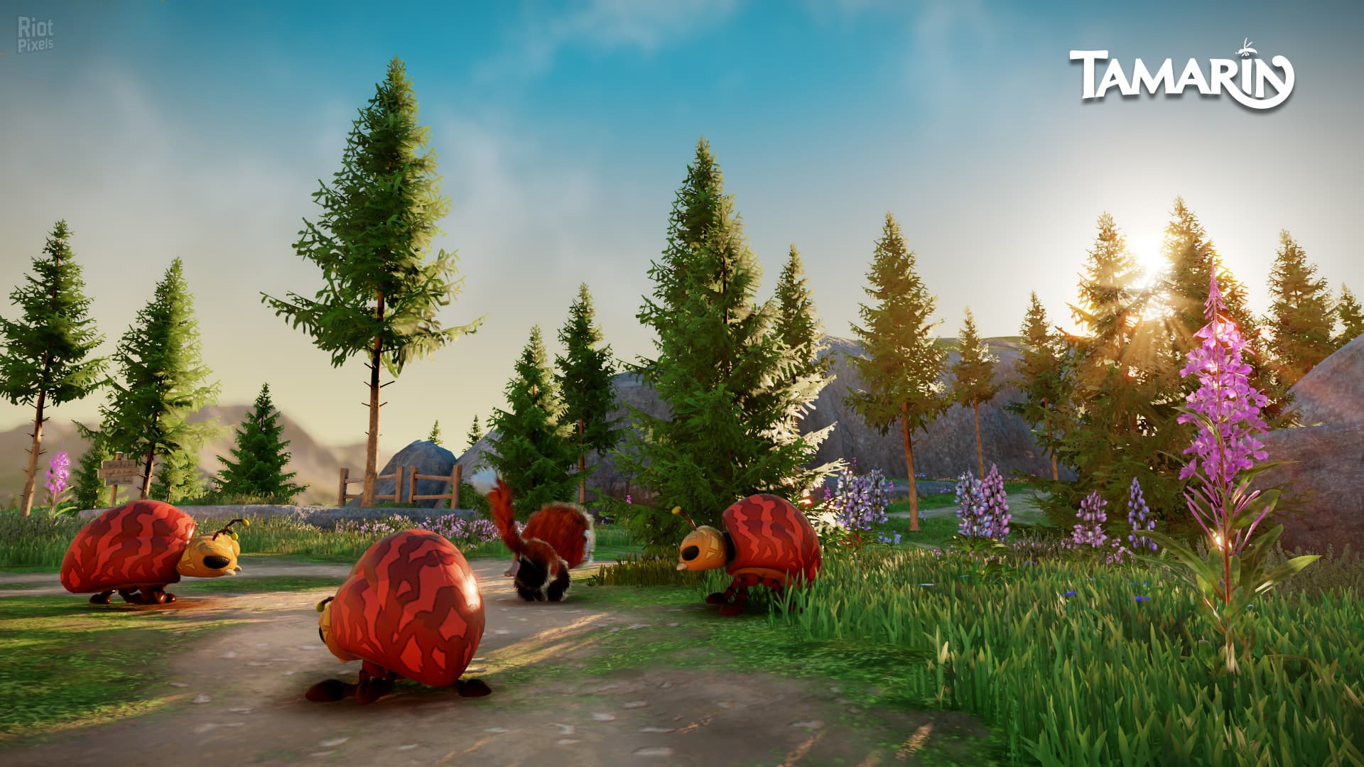 Tamarin screenshot 5