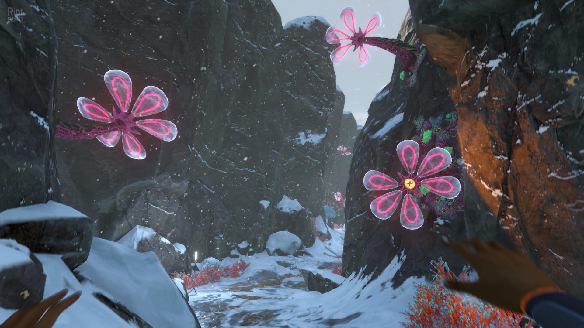 Subnautica: Below Zero – v1.0 Build 44290 screenshot 4