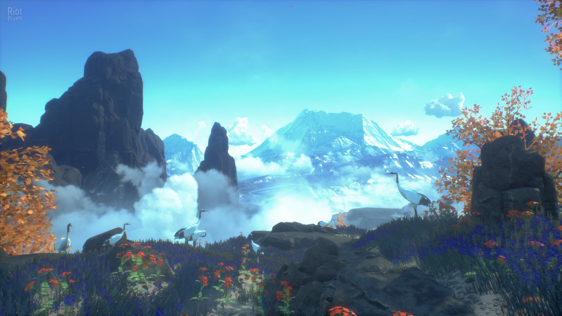 Asemblance: Oversight screenshot 6