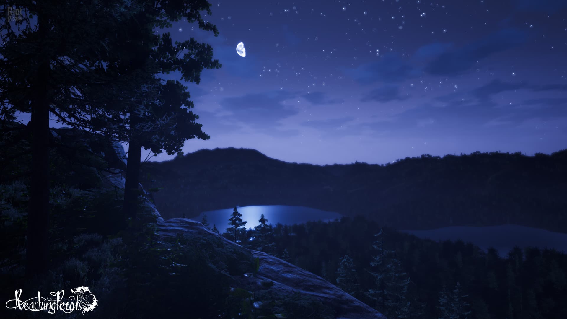 Reaching for Petals screenshot 3