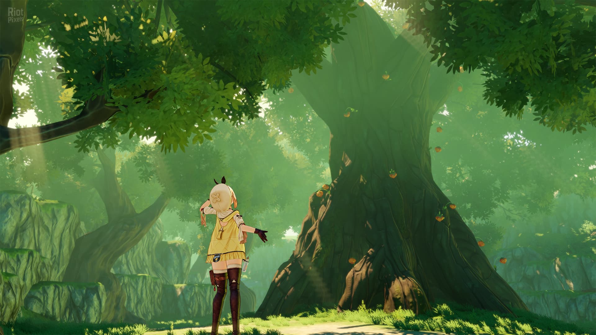 Atelier Ryza: Ever Darkness & The Secret Hideout – Digital Deluxe Edition + 8 DLCs screenshot 3
