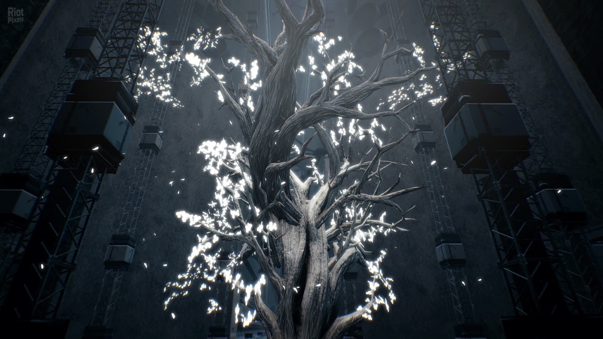 Dolls Nest + Soundtracks, v1.0.1 + Bonus Content screenshot 2