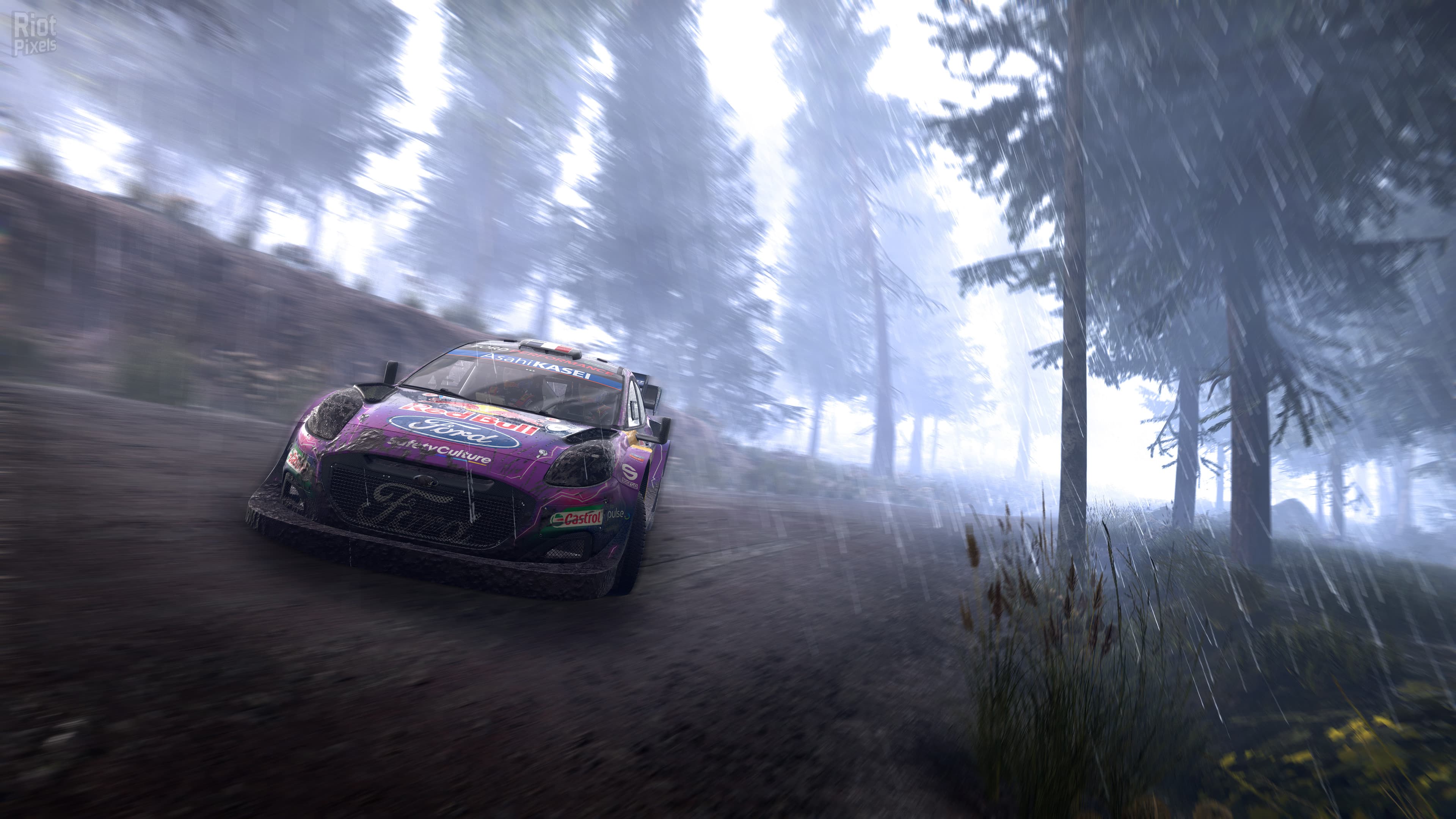 WRC Generations: Deluxe Edition + 5 DLCs screenshot 5