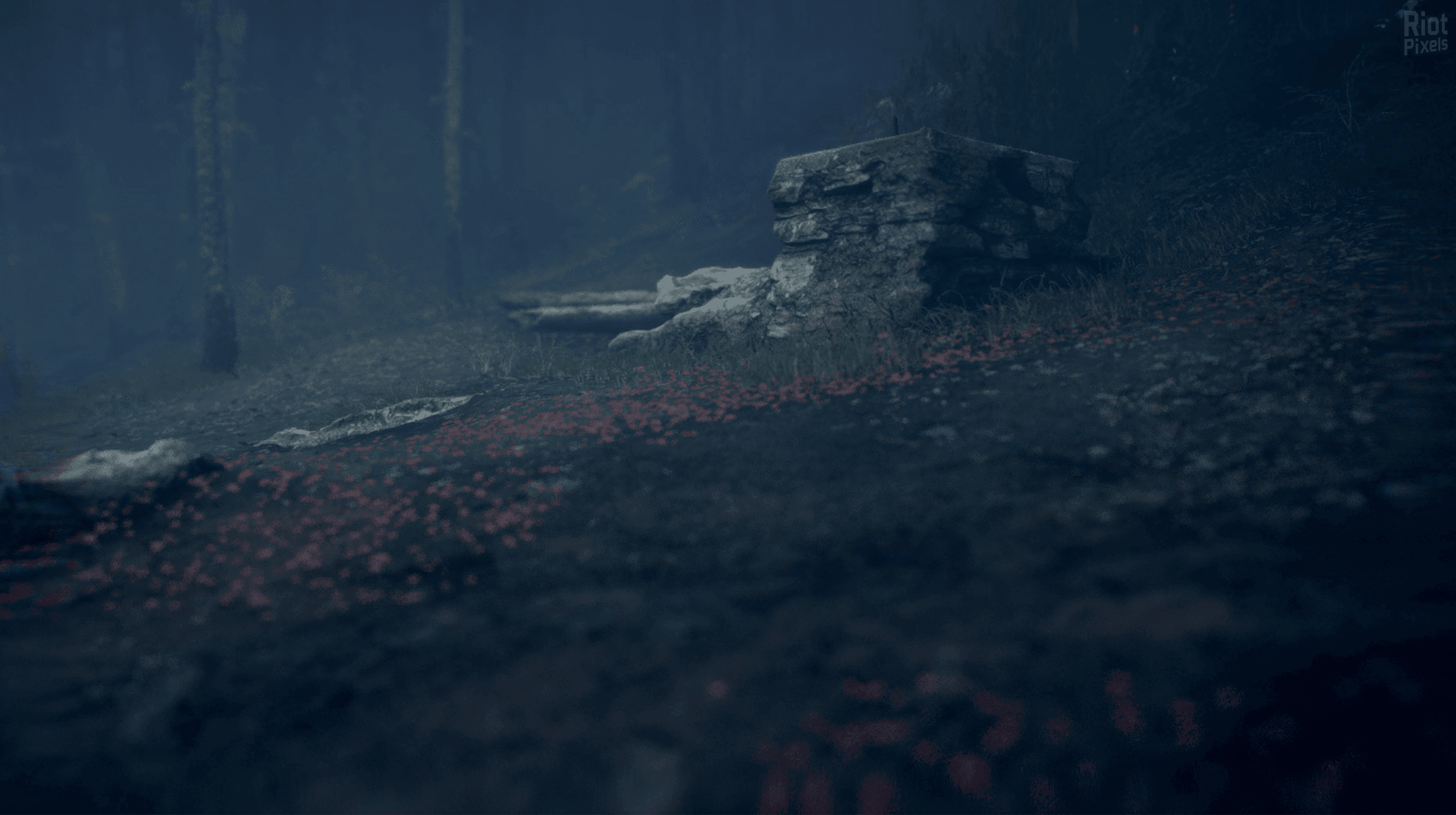 Martha Is Dead – v1.0223.01 screenshot 4