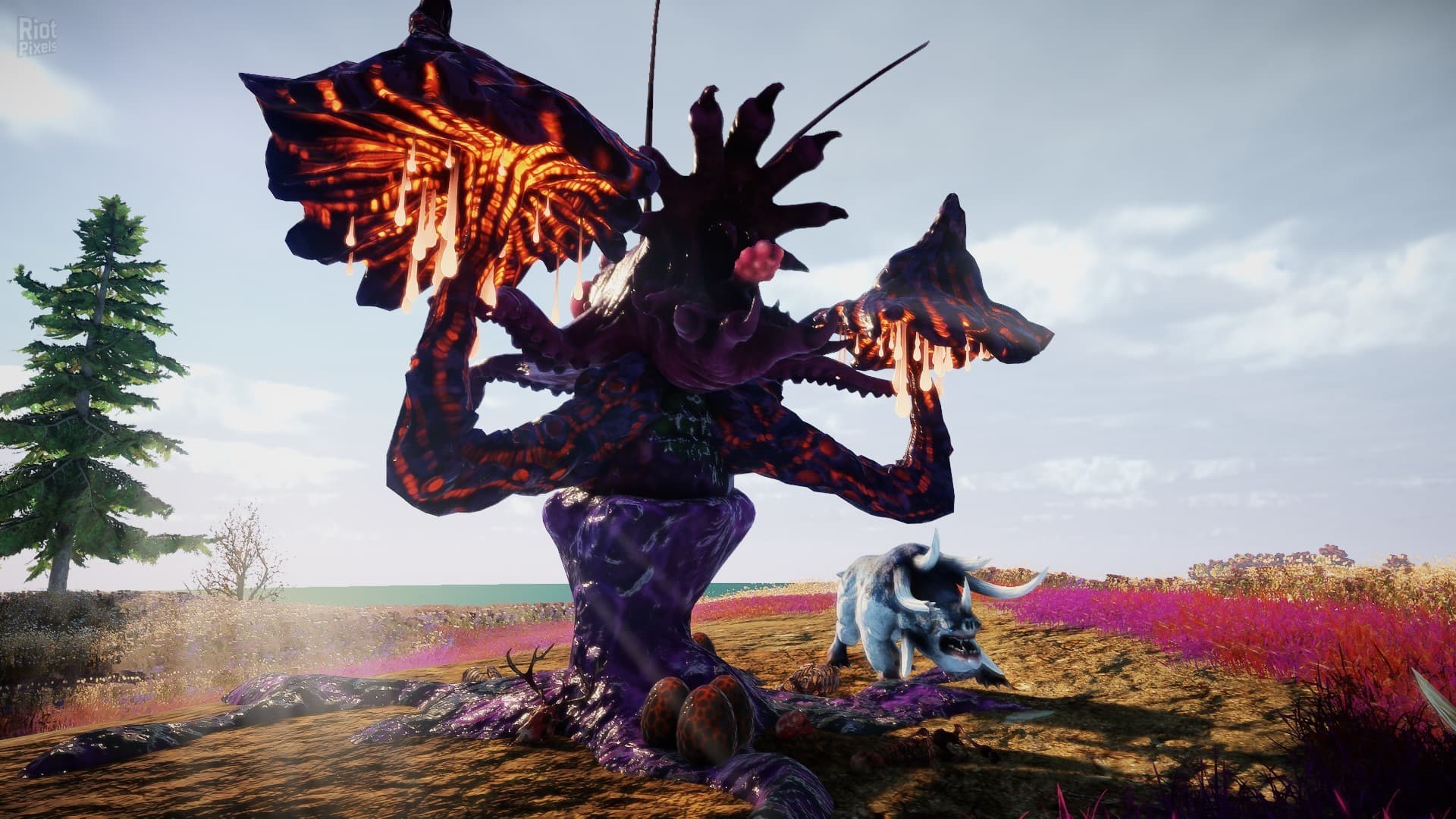 Animallica screenshot 4