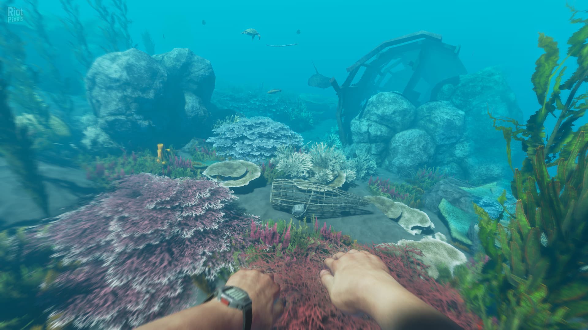 Stranded Deep – v1.0.6.0.17 Release screenshot 2