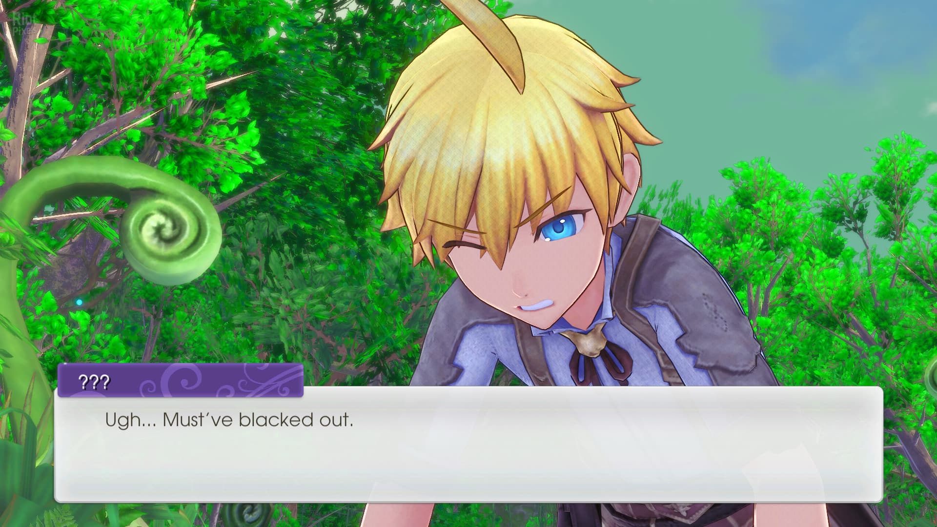 Rune Factory 5 + 10 DLCs screenshot 3