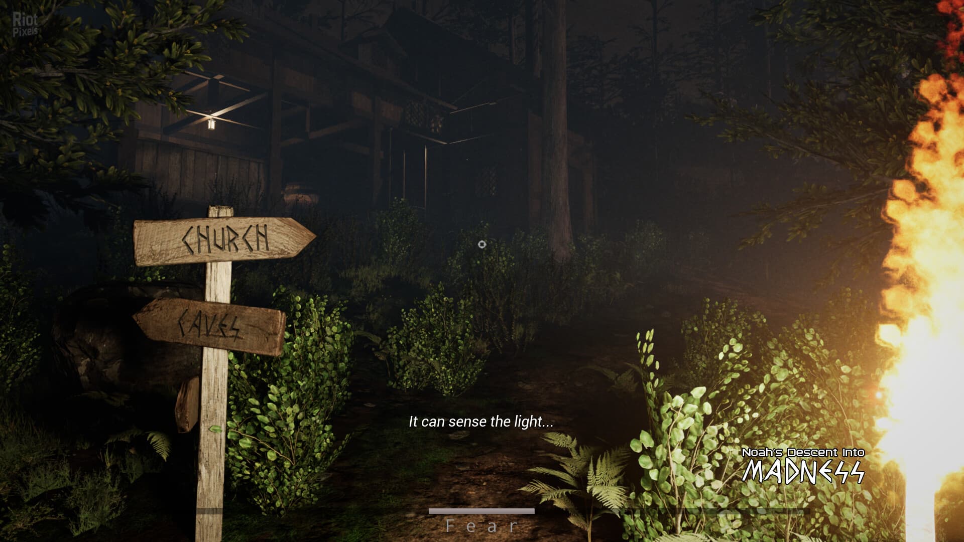 Noah’s Descent into Madness screenshot 3