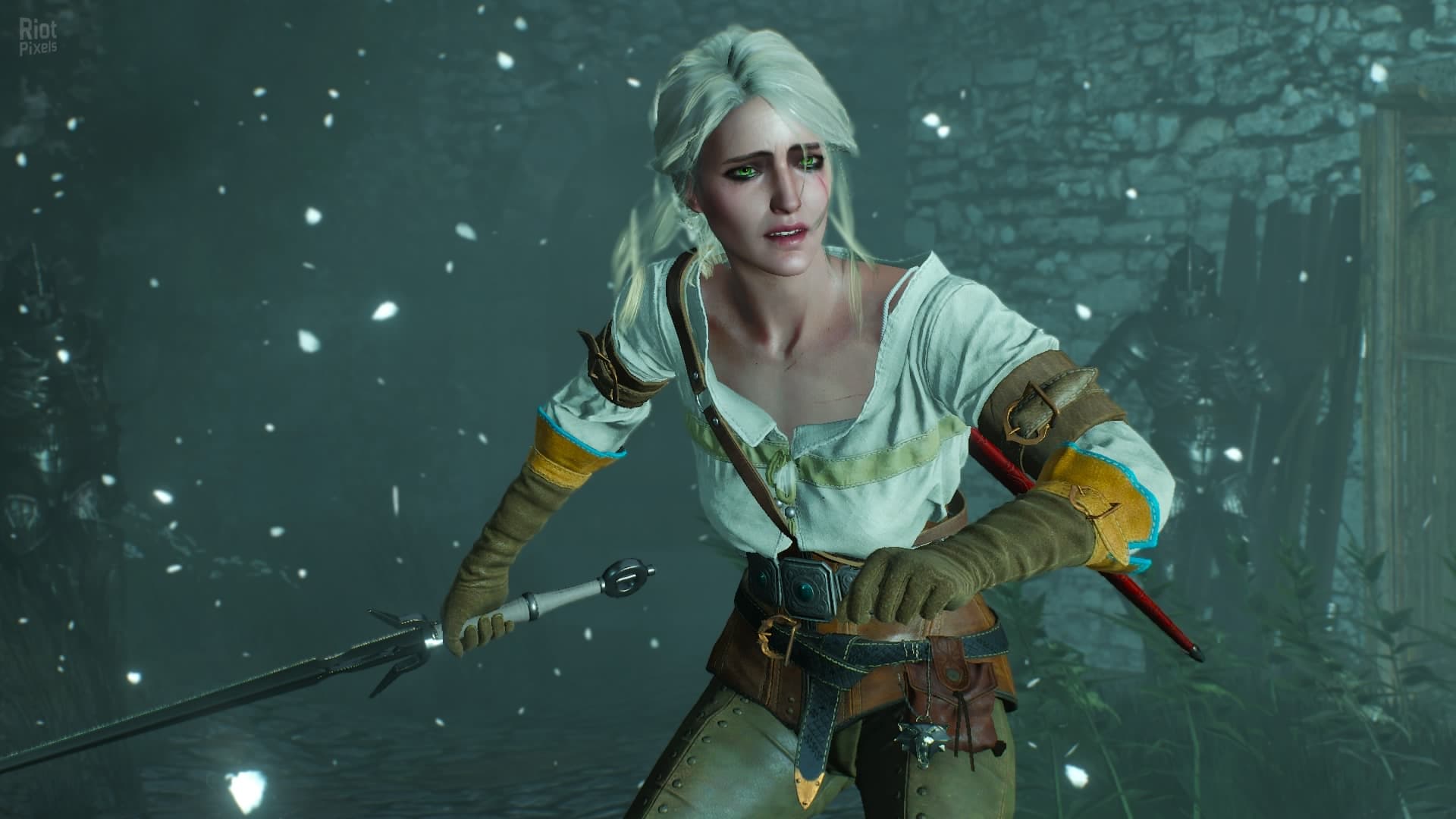 The Witcher 3: Wild Hunt – Game of the Year Edition v1.31/v1.32 + HD Mod screenshot 2