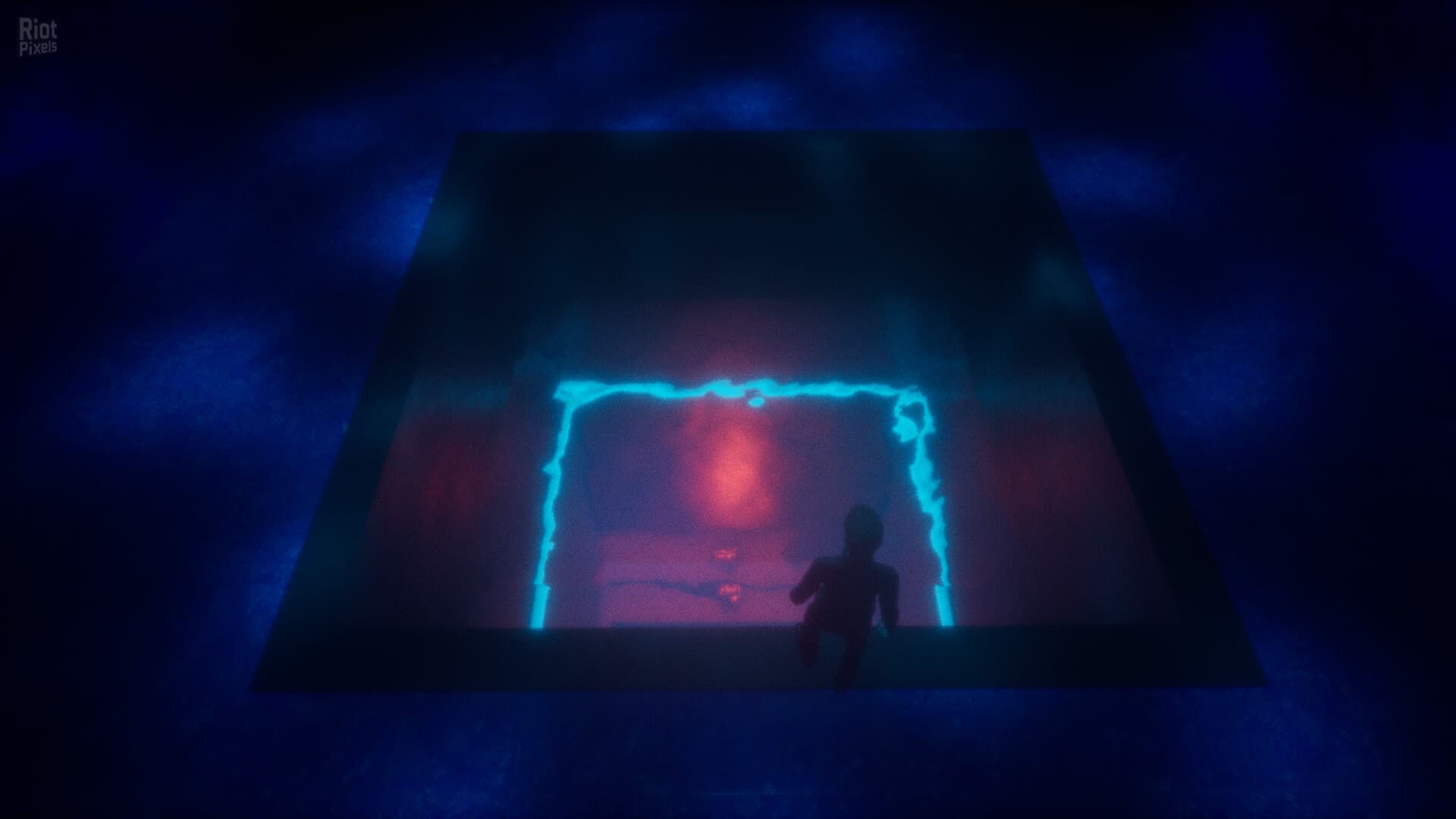 Gym Nights screenshot 5