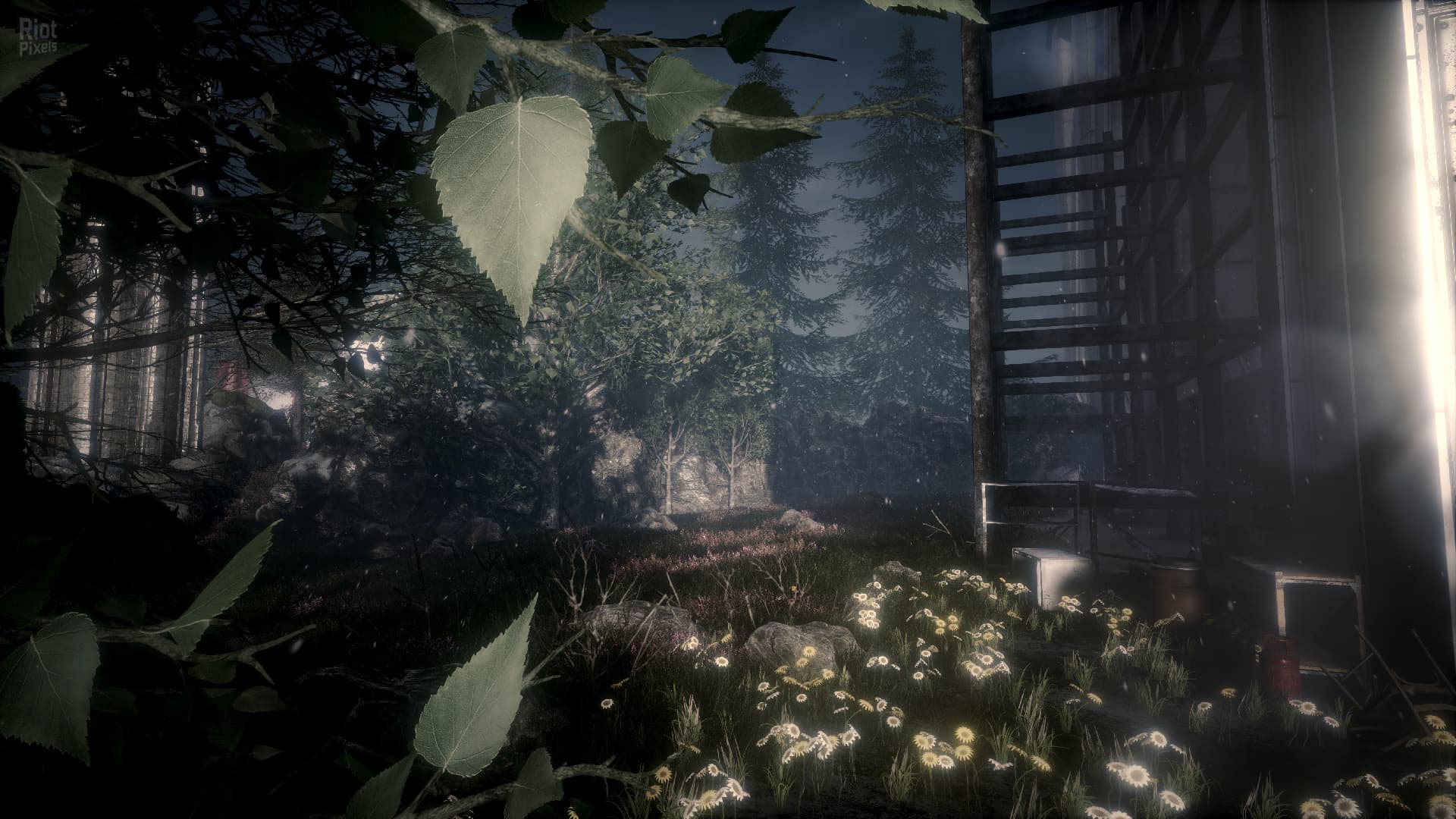 The Butterfly Sign – v1.1.2/Update 5 screenshot 6