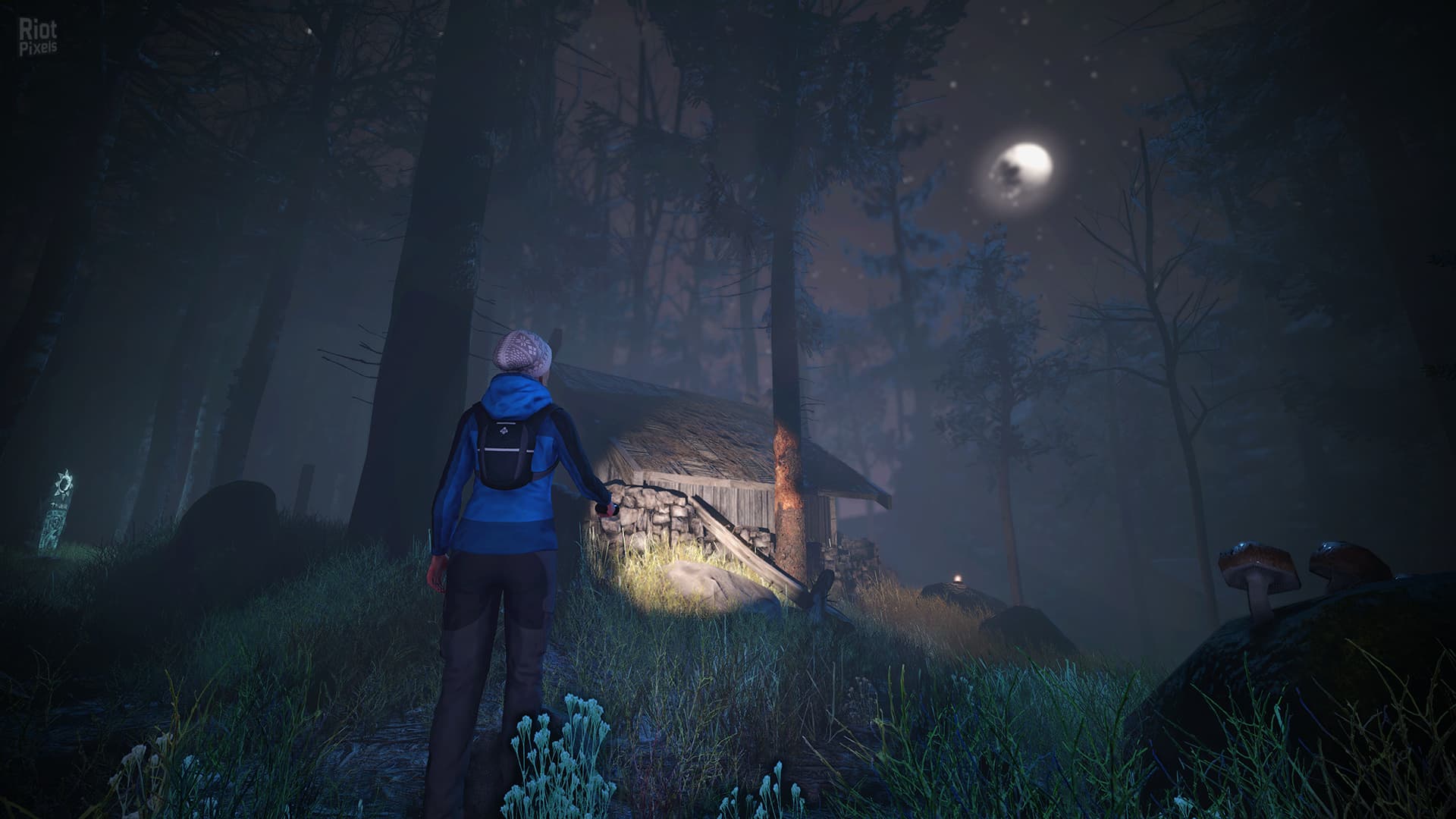 Through the Woods + HotFix screenshot 3