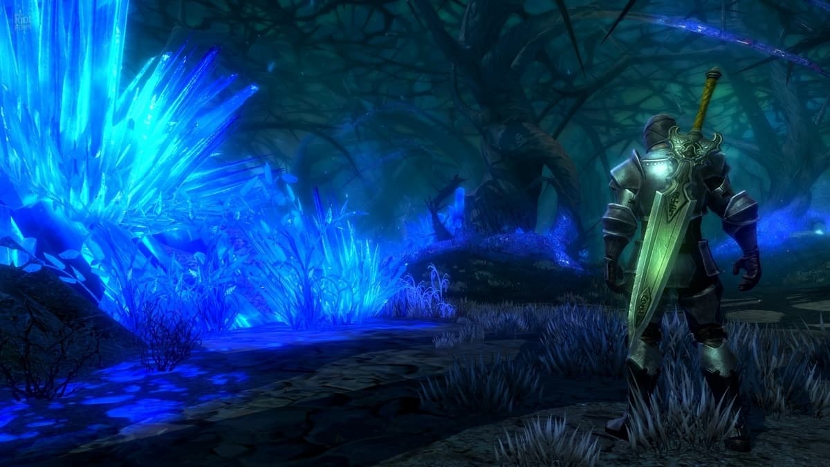 Kingdoms of Amalur: Reckoning – v1.0.0.2 + All DLCs screenshot 1