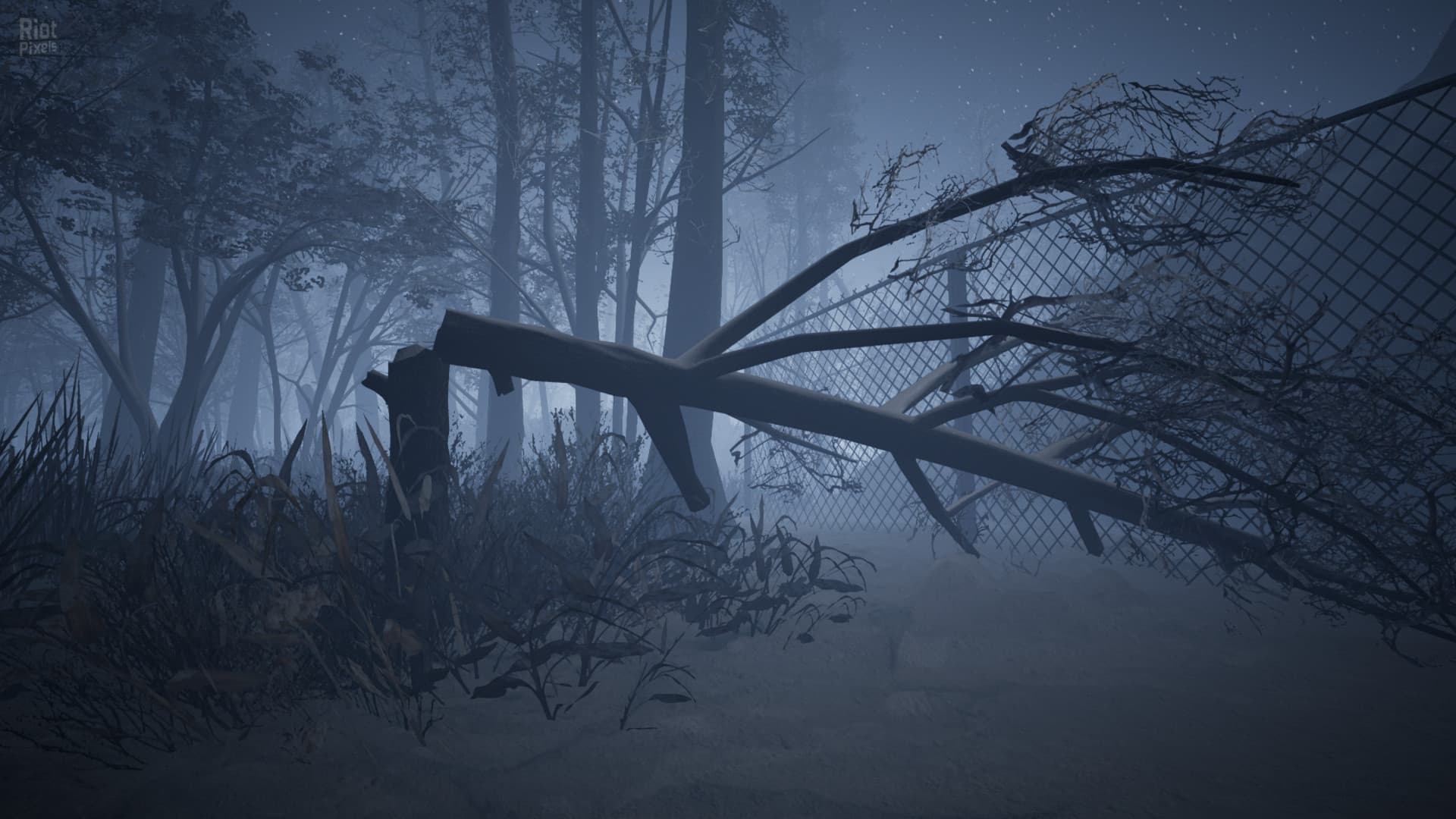 Raw Footage screenshot 6