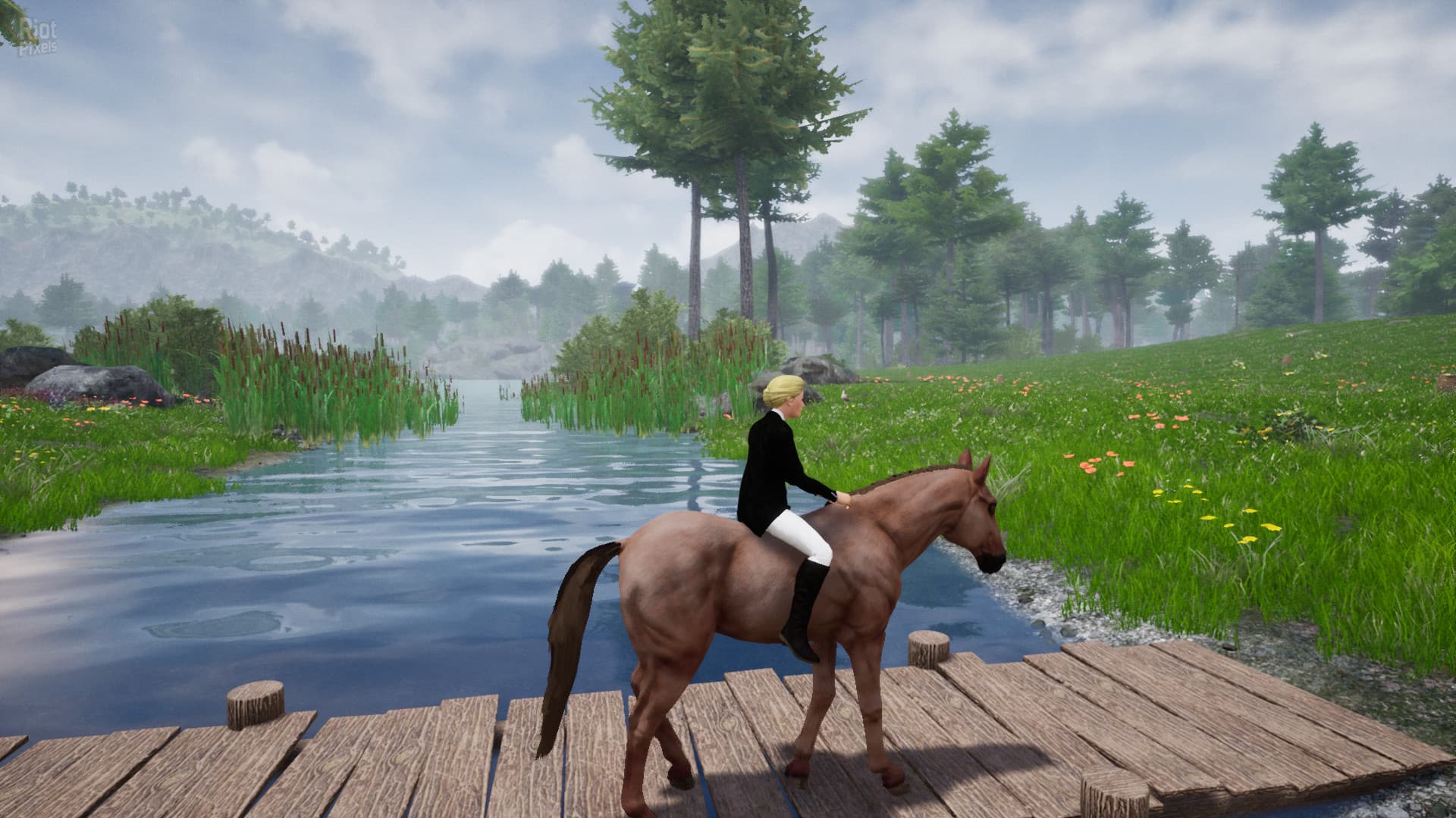 Horse Riding Deluxe 2 screenshot 3
