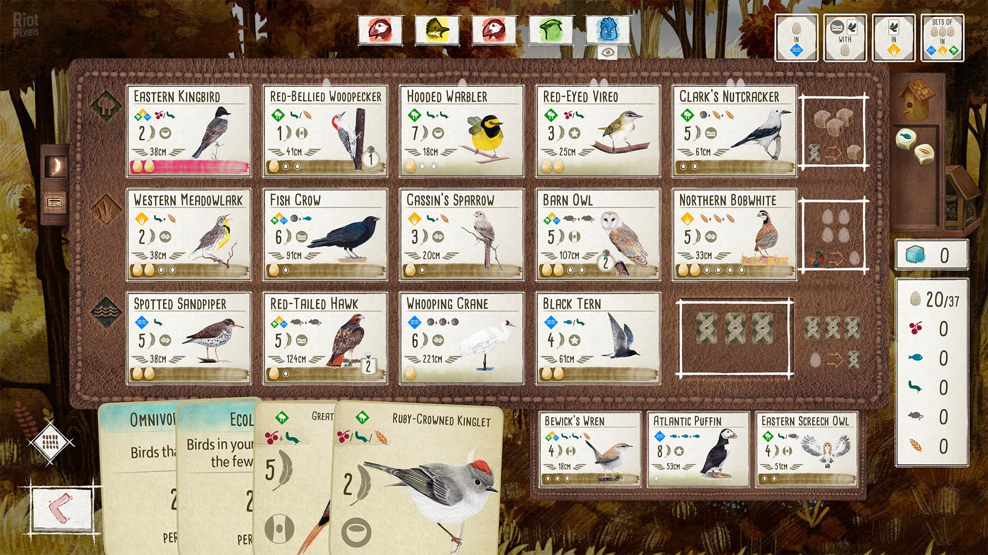 Wingspan: Special Edition – v1.7.1147.0127.1338 + 7 DLCs/Bonuses screenshot 4