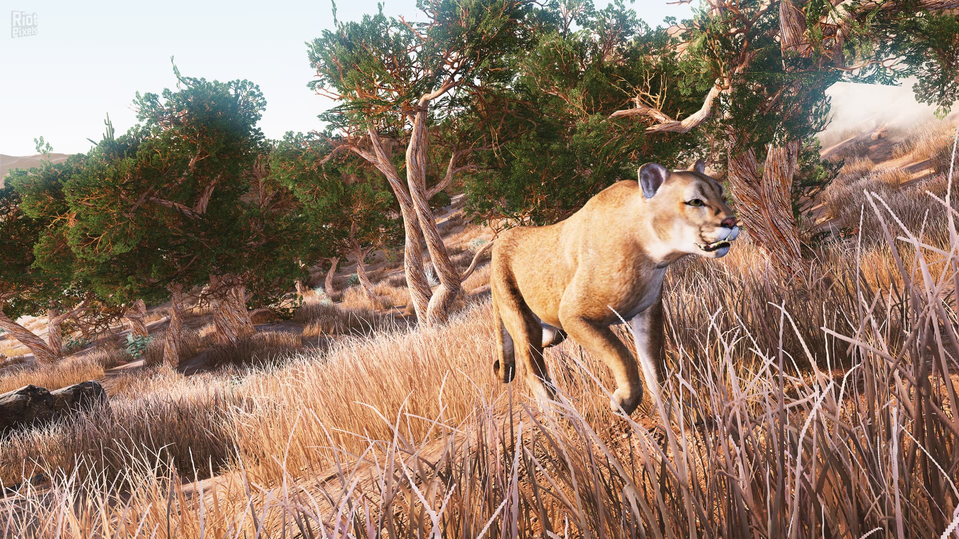 Hunting Simulator – v1.2 + DLC screenshot 2