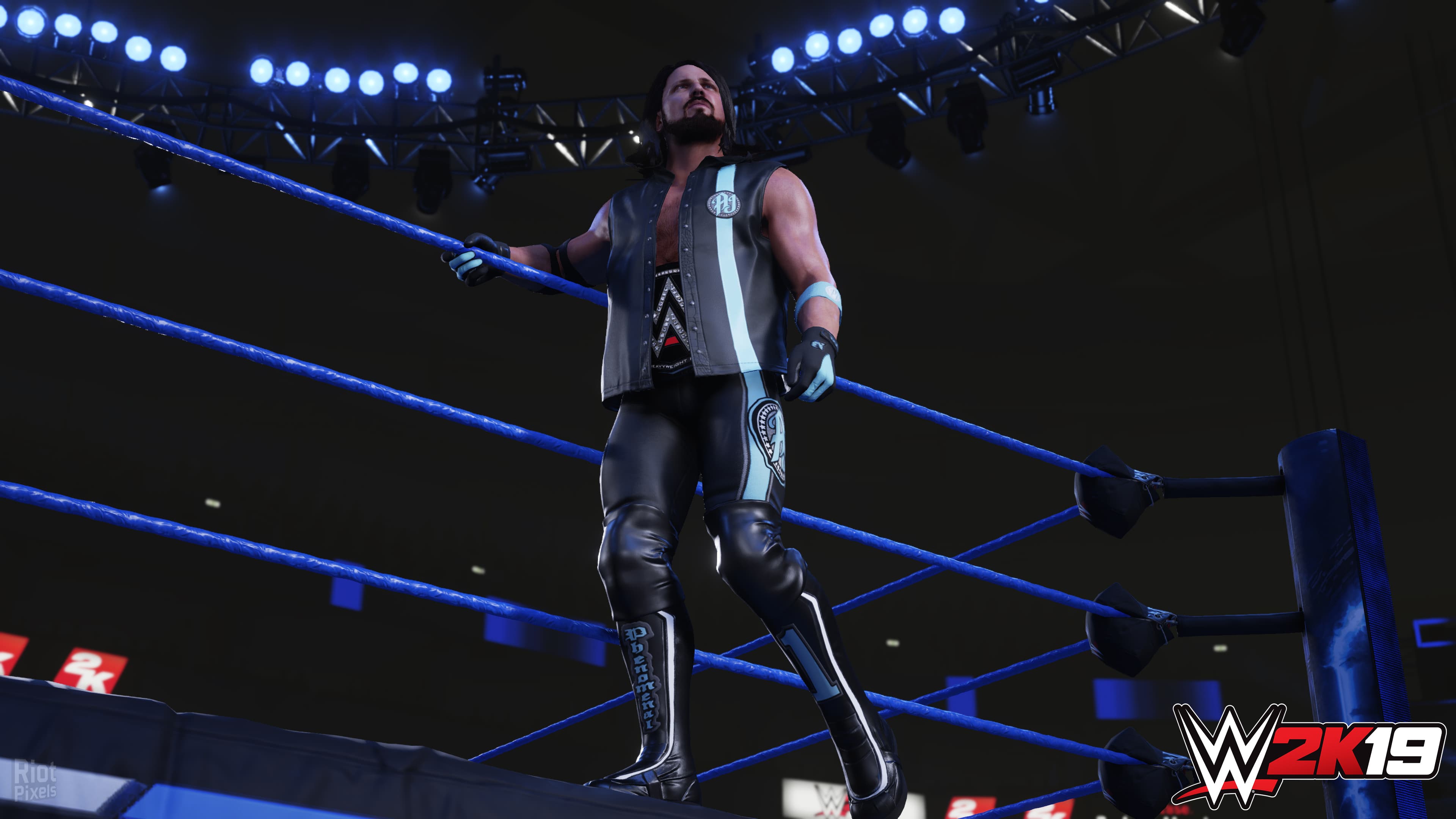 WWE 2K19: Digital Deluxe Edition + 4 DLCs screenshot 5