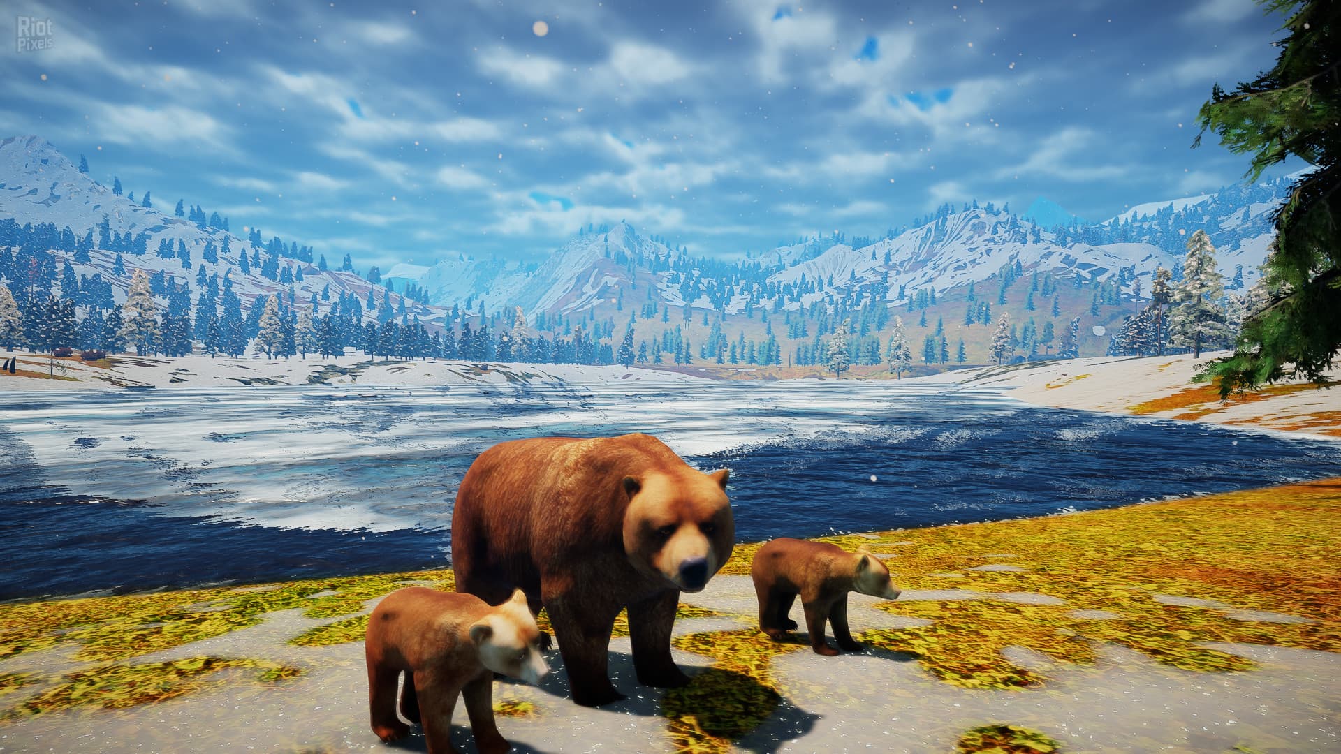 Animallica screenshot 5