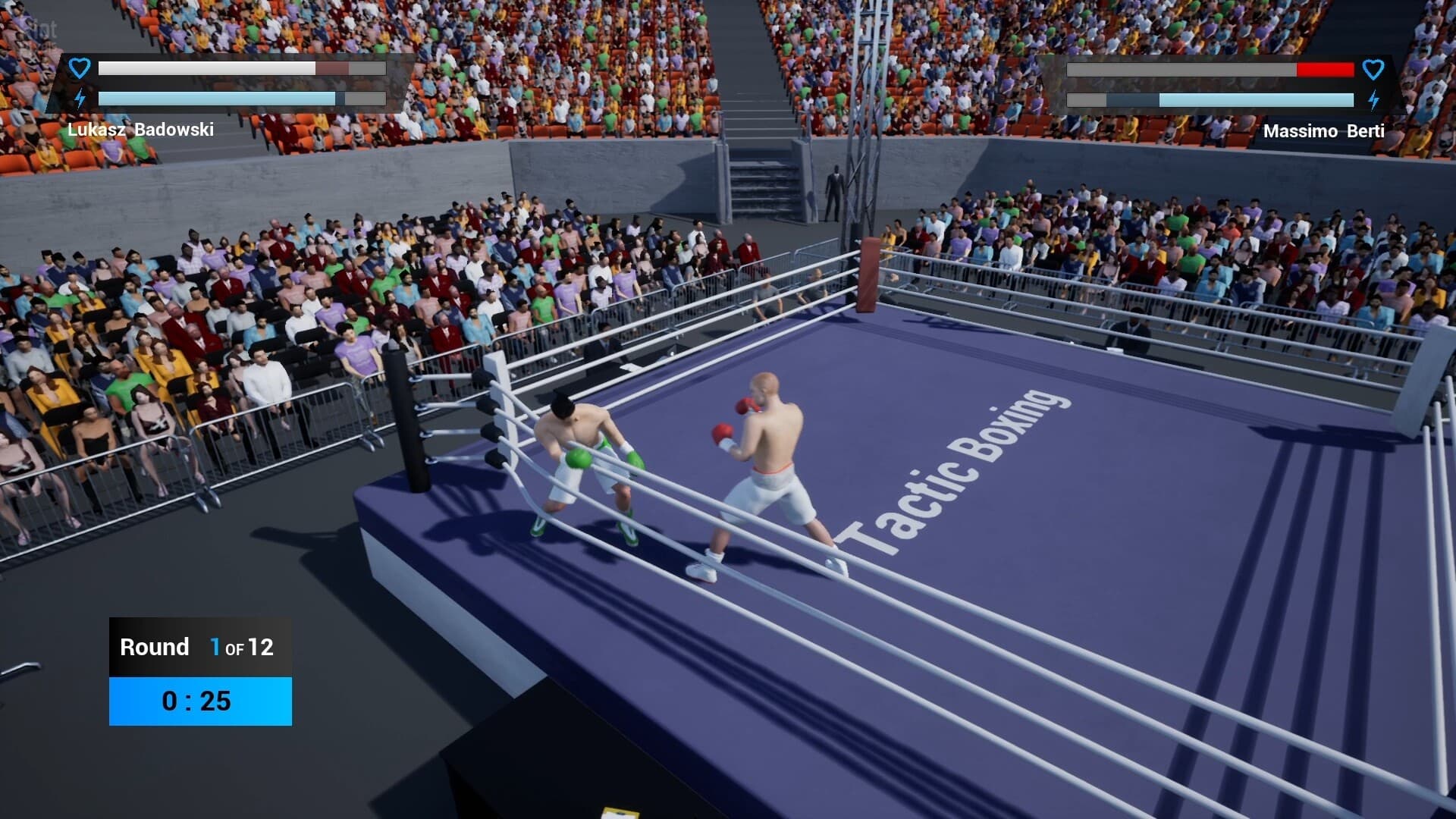 Tactic Boxing screenshot 1