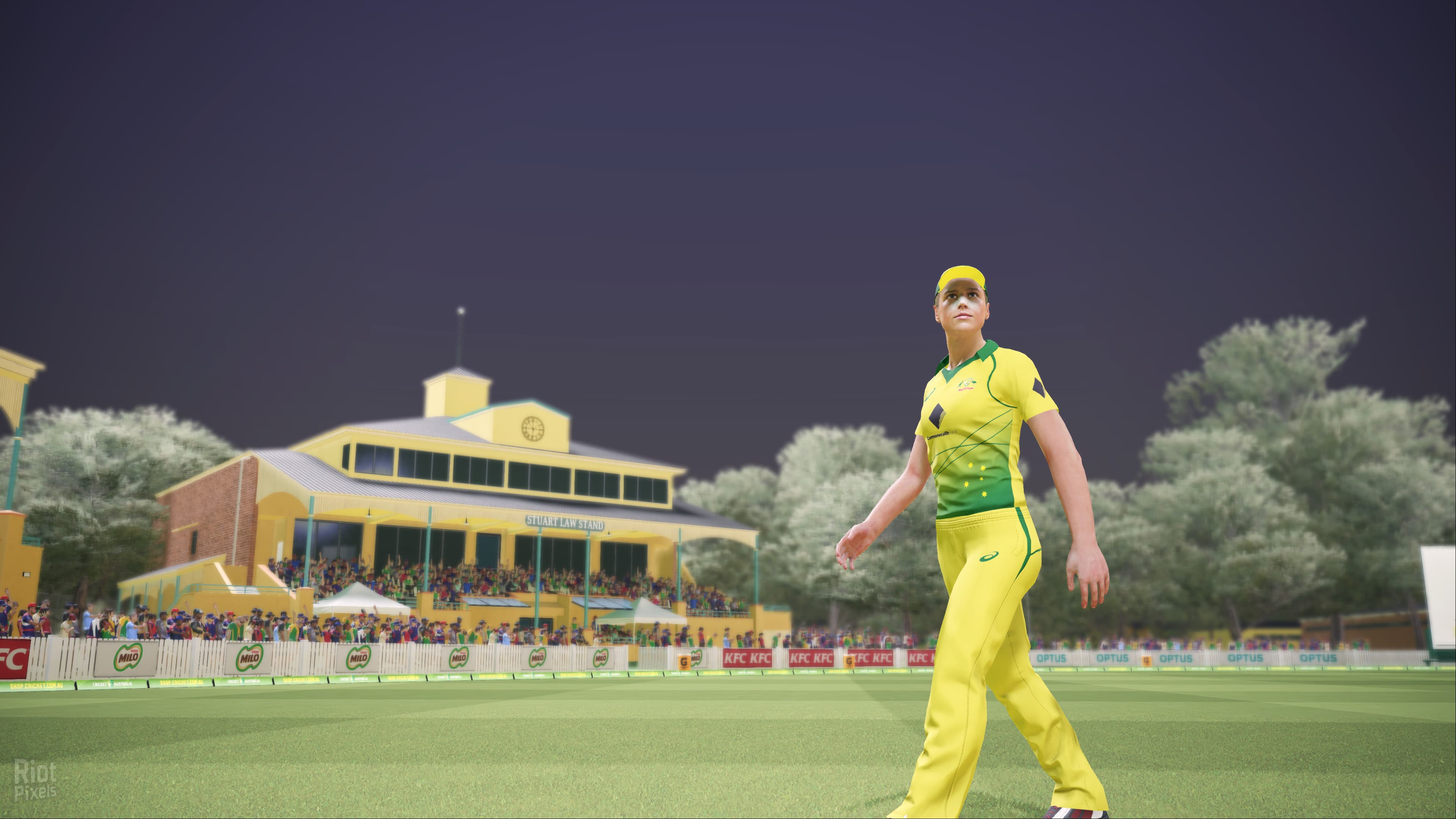 Ashes Cricket – v1.0548 screenshot 3