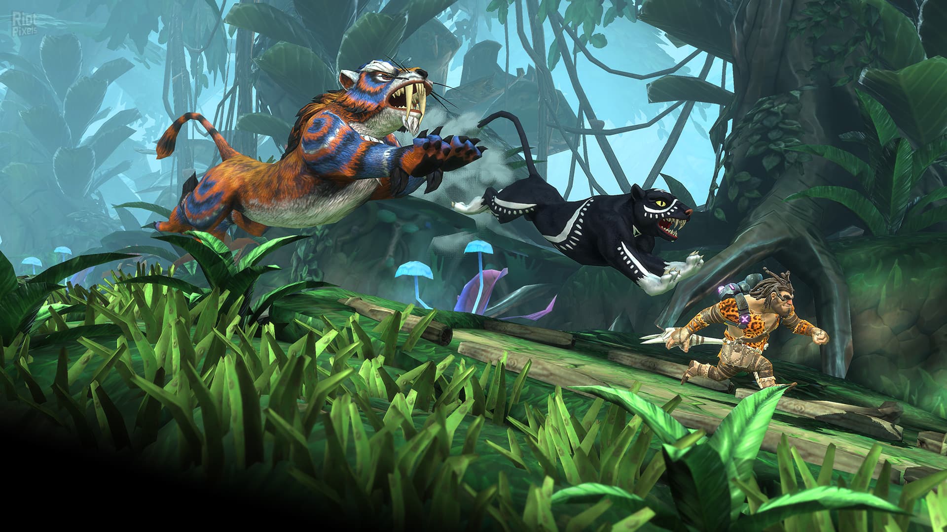 Jet Kave Adventure screenshot 4