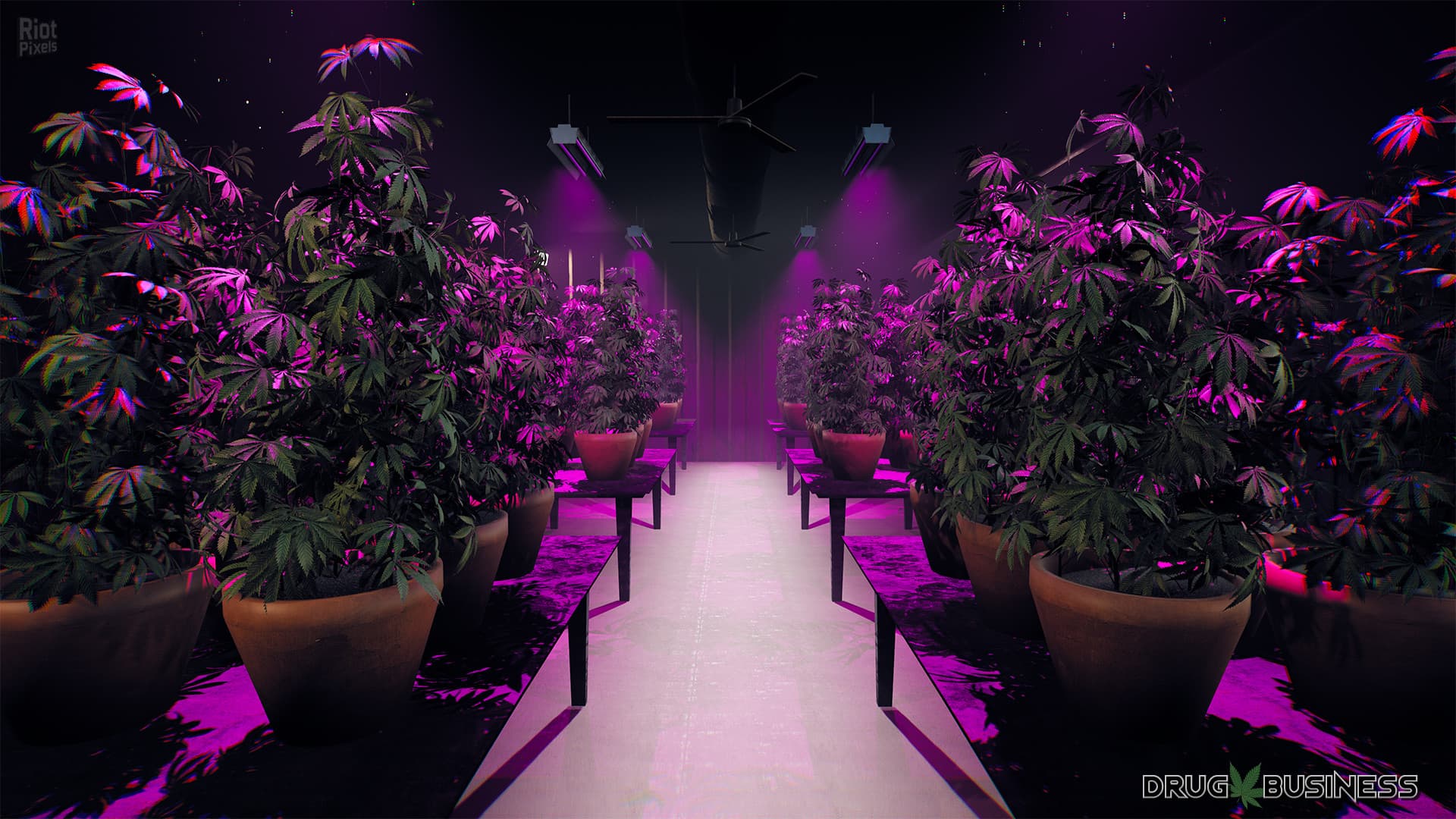 Drug Business screenshot 1