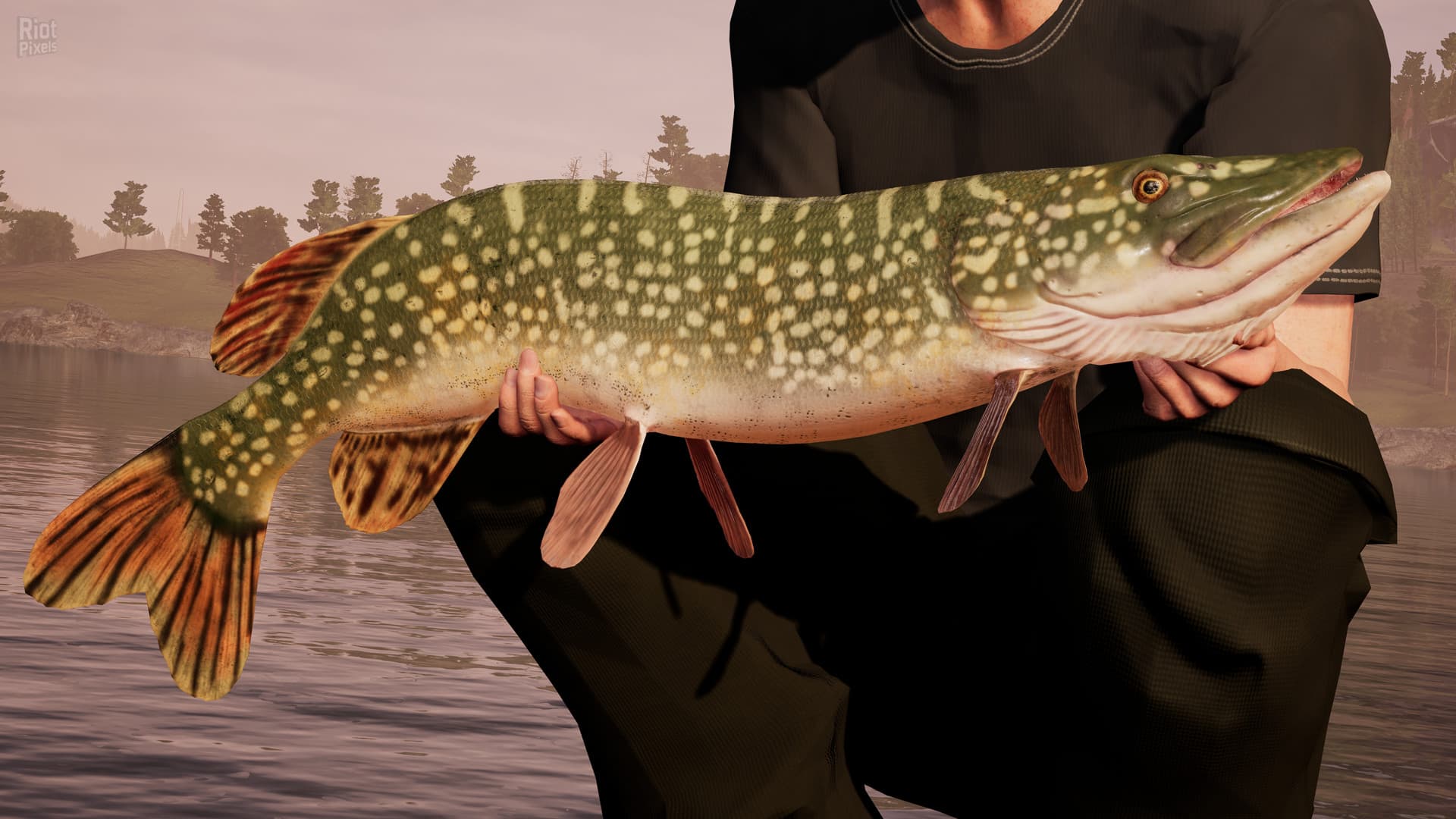 Fishing Sim World: Pro Tour – Build 9995607 (Denuvoless) + All DLCs screenshot 4