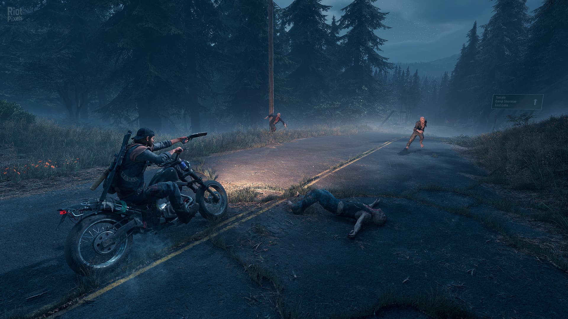 Days Gone – v1.08 + Broken Road DLC screenshot 4