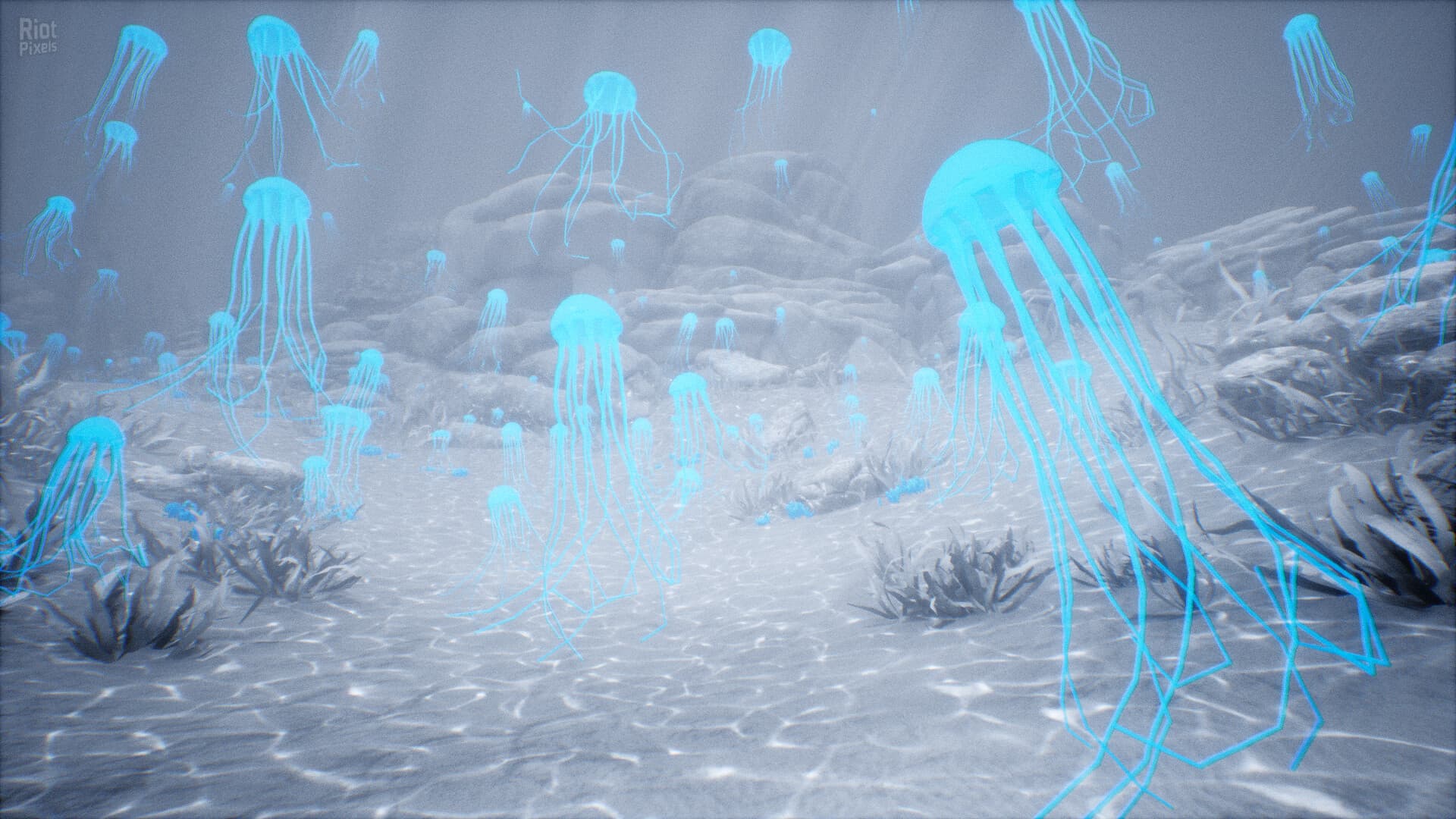 Rest screenshot 3