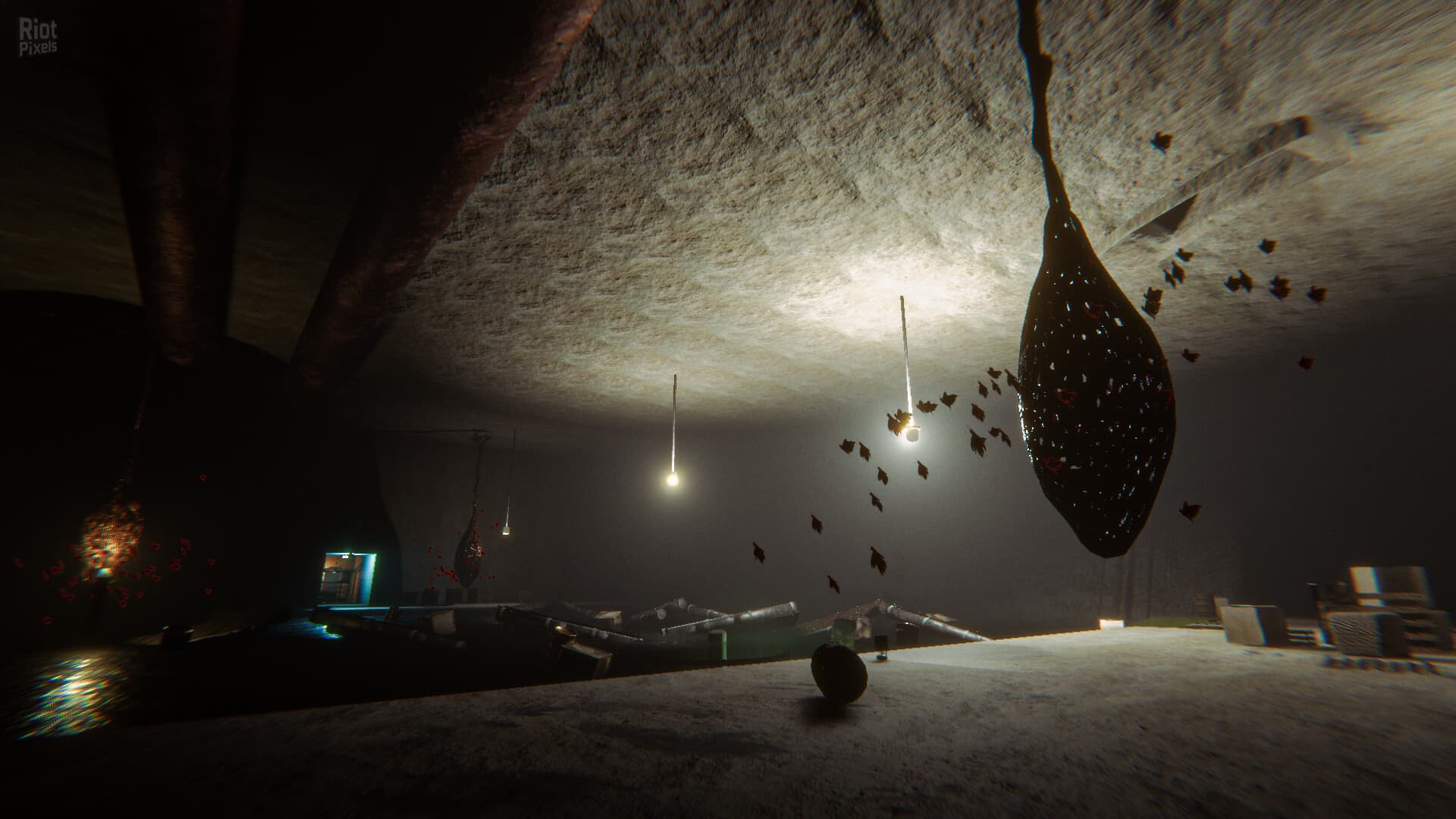The Proponent screenshot 3