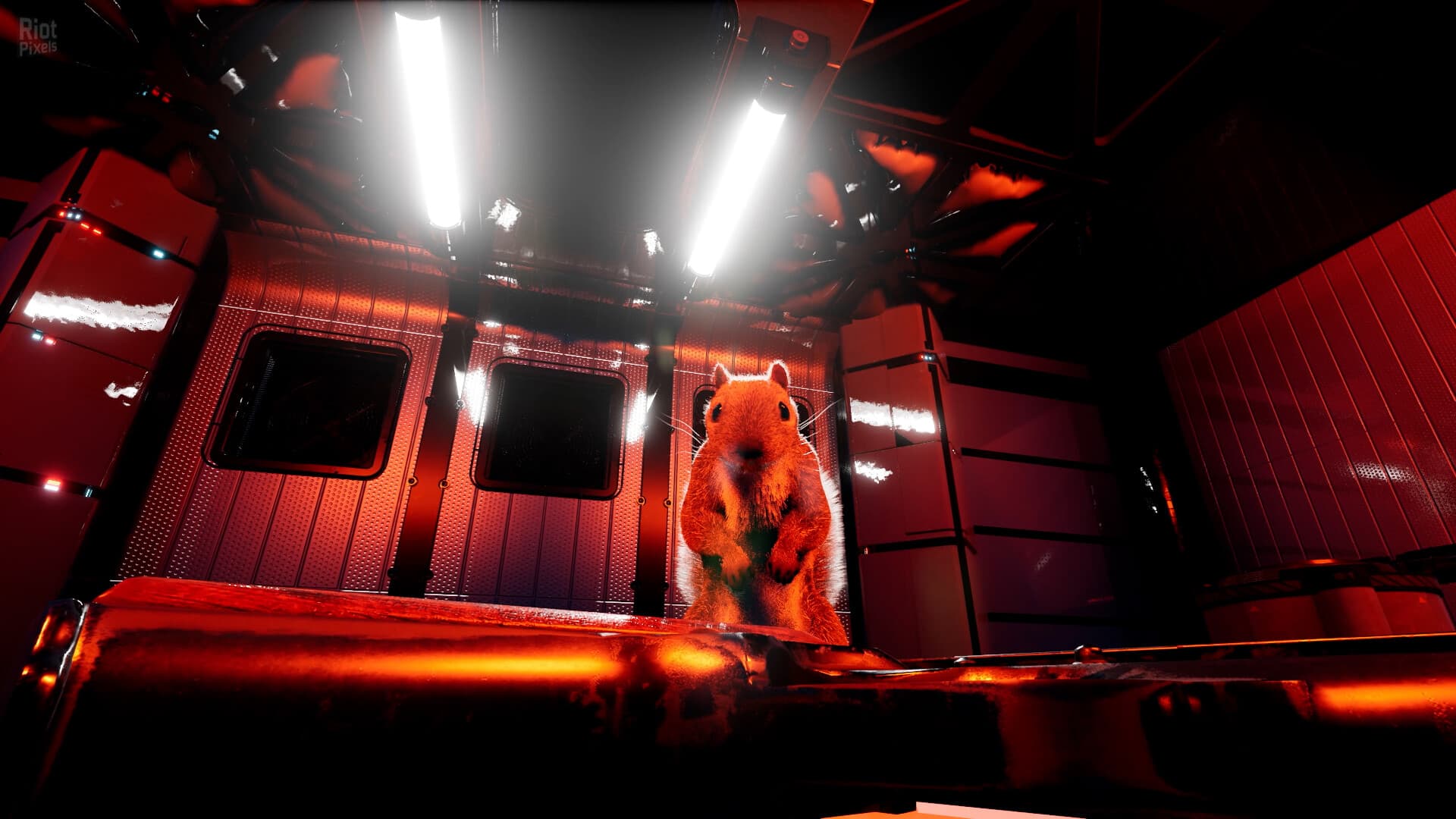 Squirrel with a Gun – v1.5.10.0 screenshot 2
