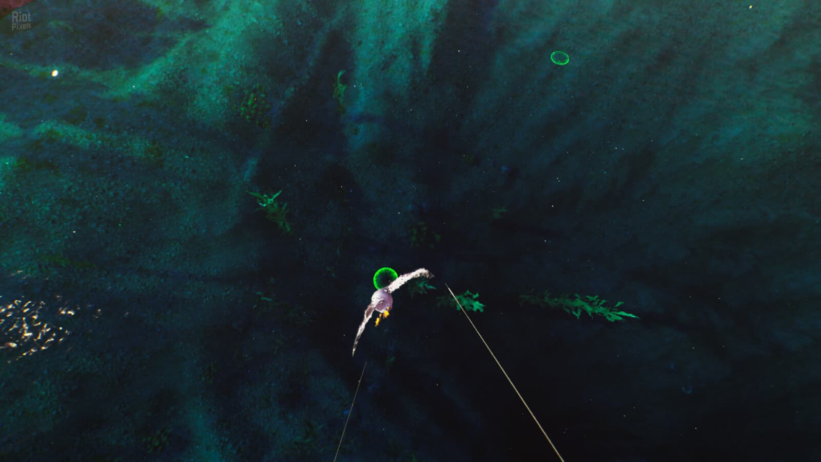 Flyto screenshot 4