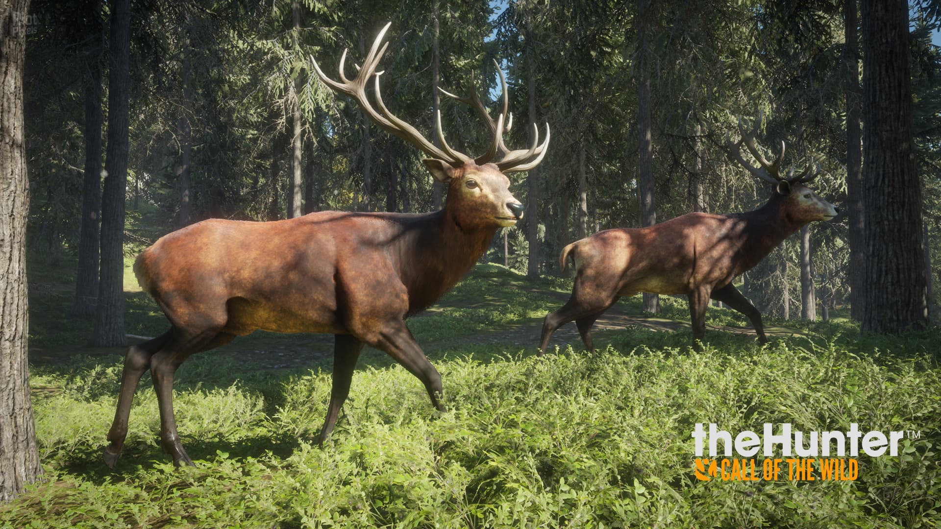 theHunter: Call of the Wild – Complete Collection – v3028143 + 66 DLCs + Windows 7 Fix screenshot 3