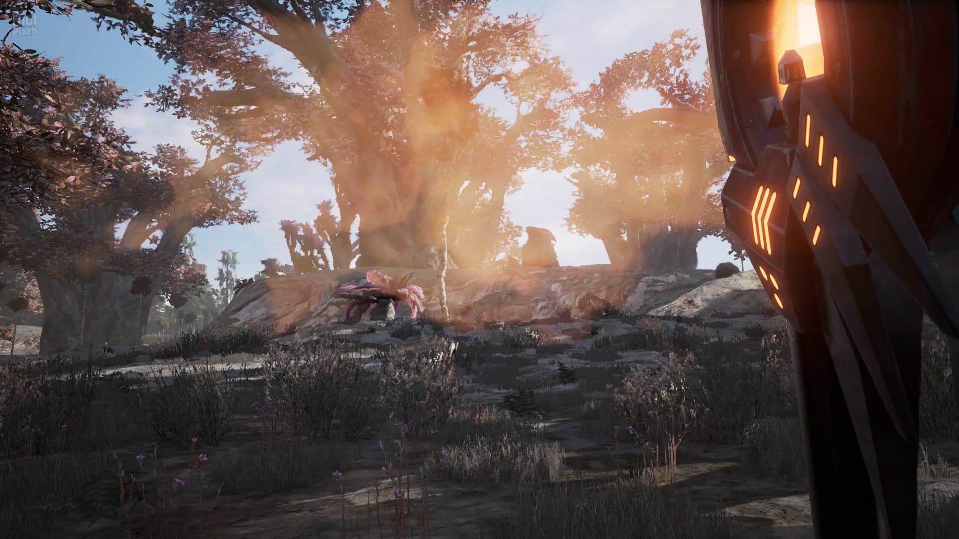 Fragmented screenshot 4
