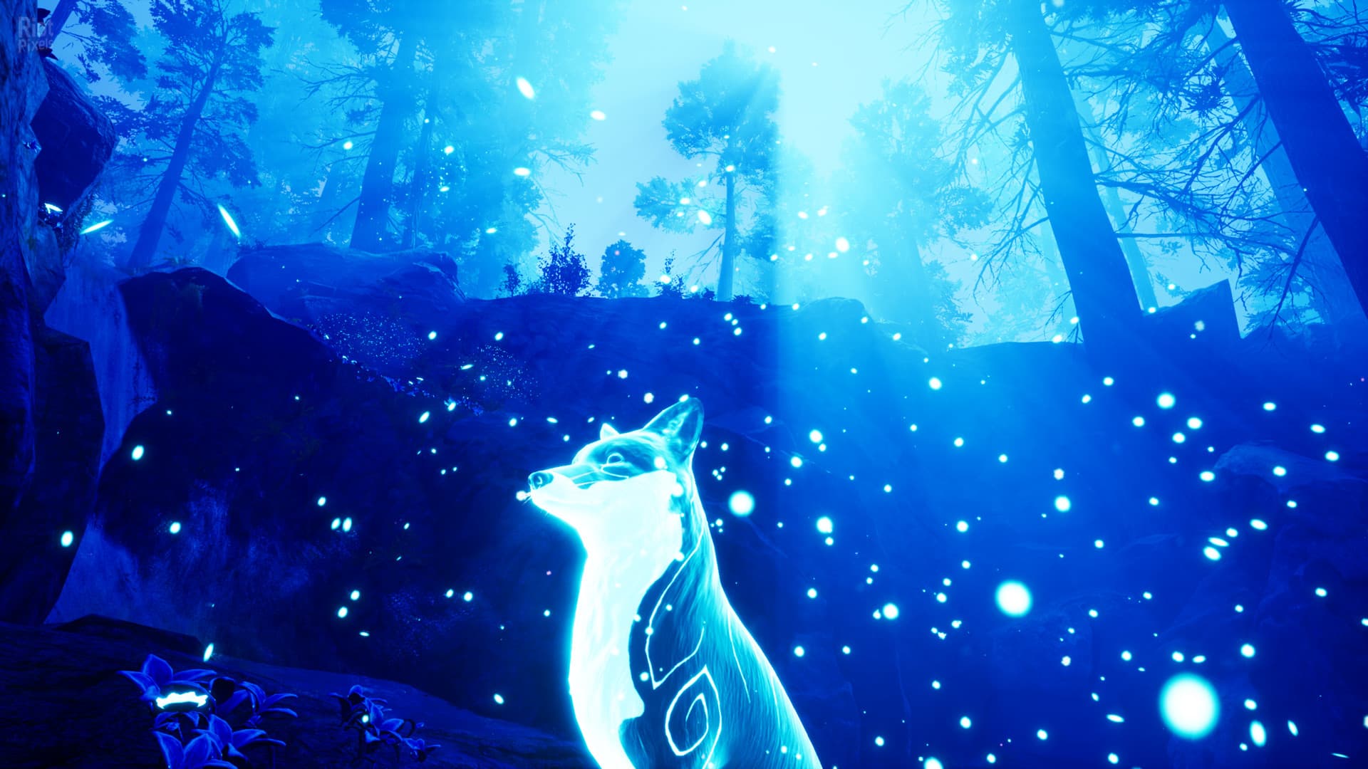 Spirit of the North – Build 6112756 (Enhanced Edition Update) screenshot 2