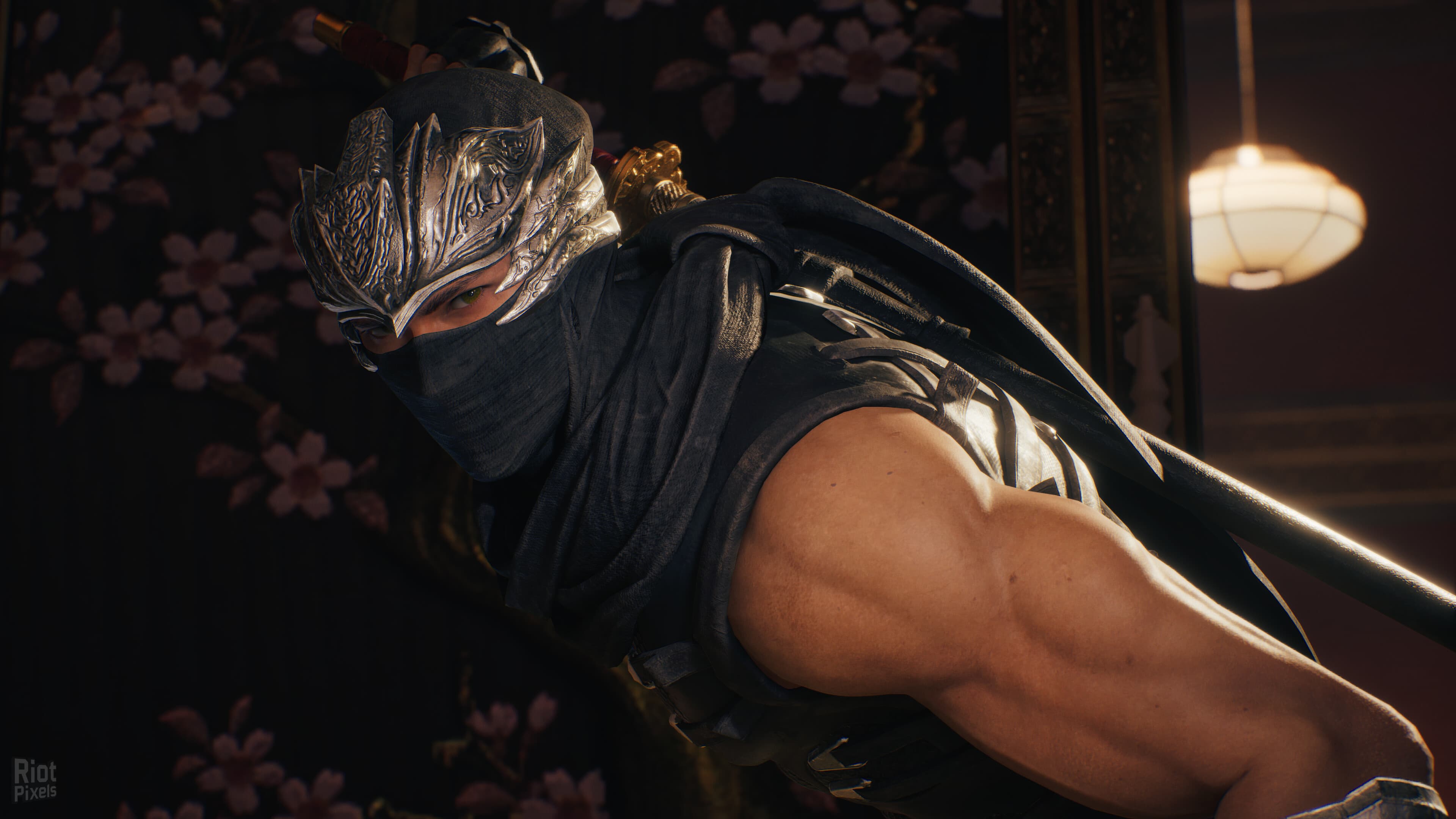 NINJA GAIDEN 2 Black, v1.0.5.0 screenshot 3