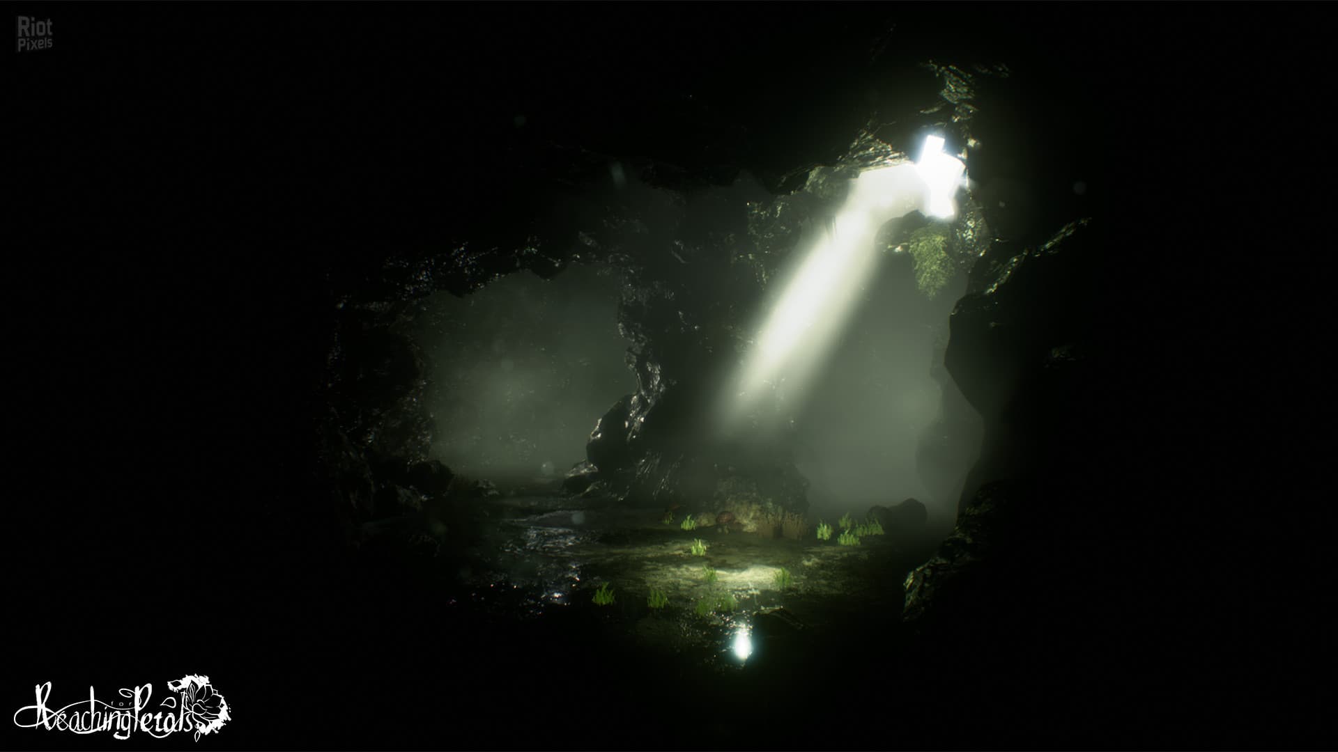 Reaching for Petals screenshot 4