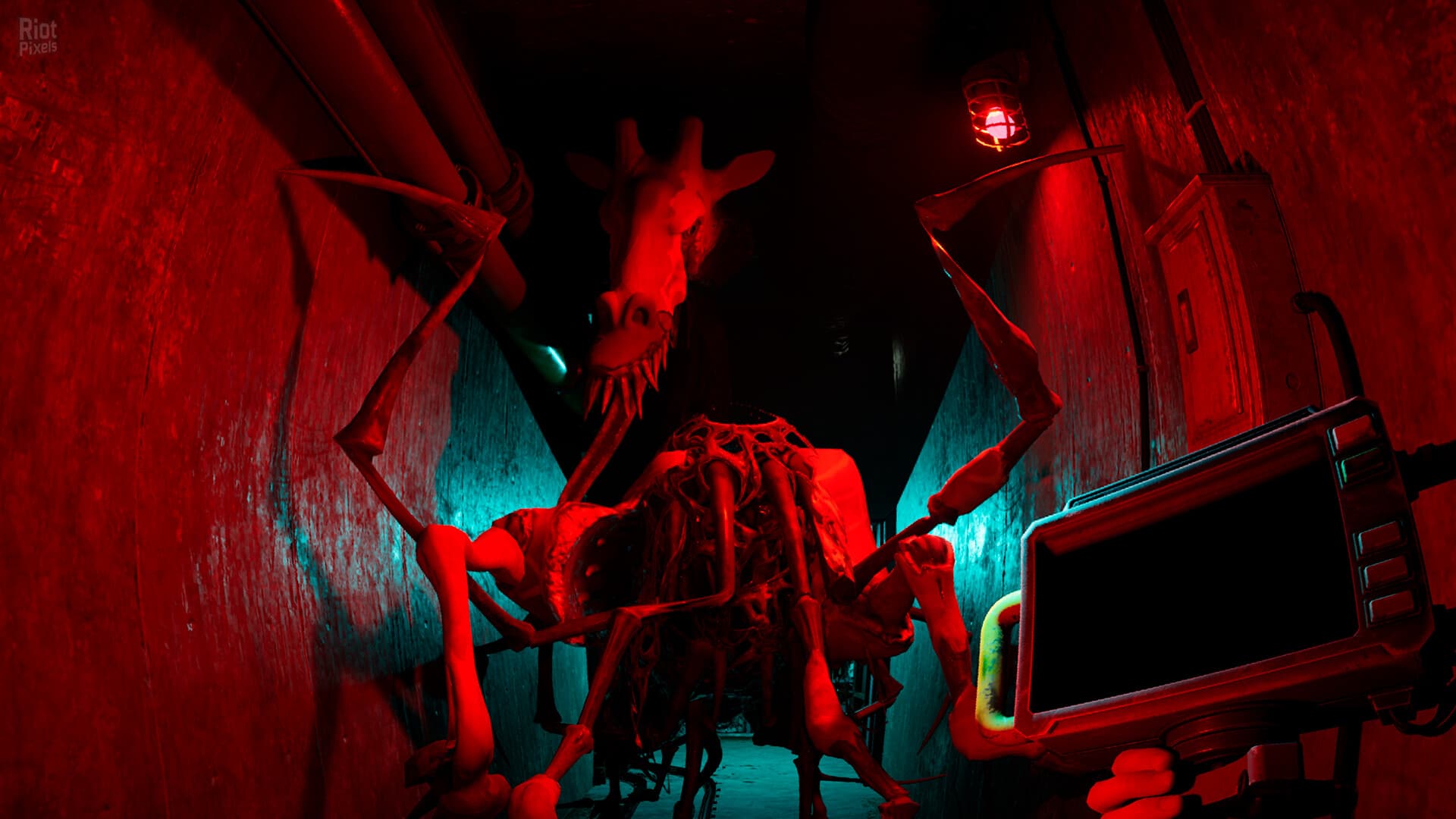 Zoochosis – v1.6.8 + Windows 7 Fix screenshot 6